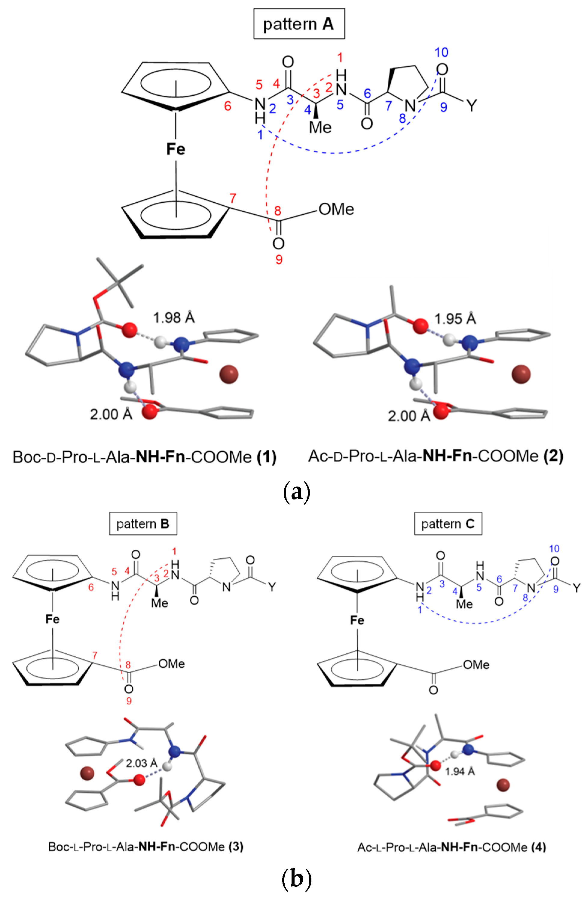 Ijms 25 04810 g003