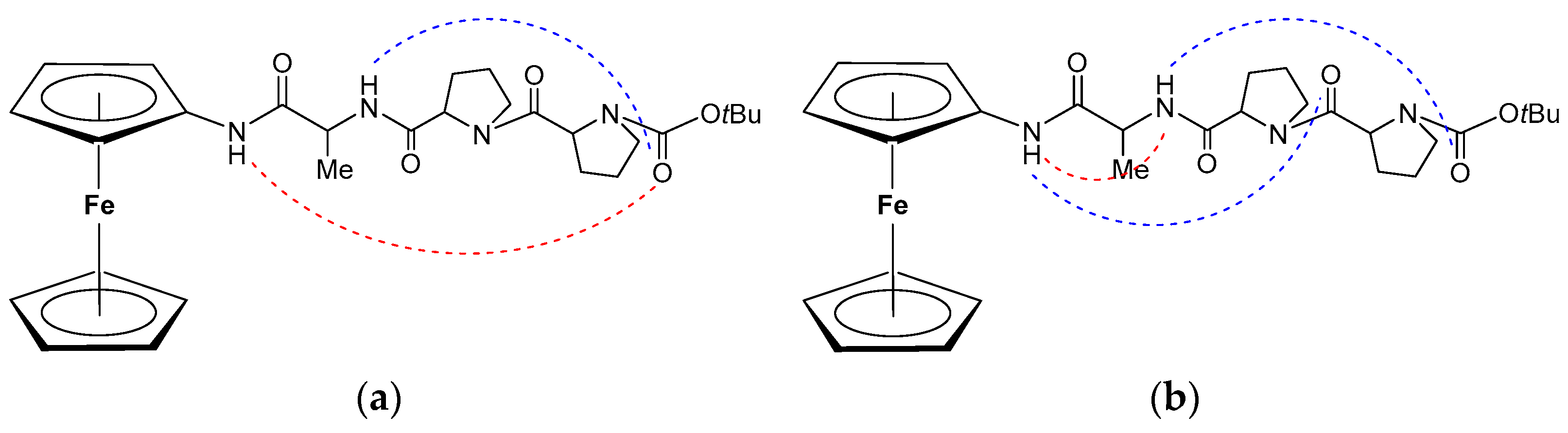 Ijms 25 04810 g016