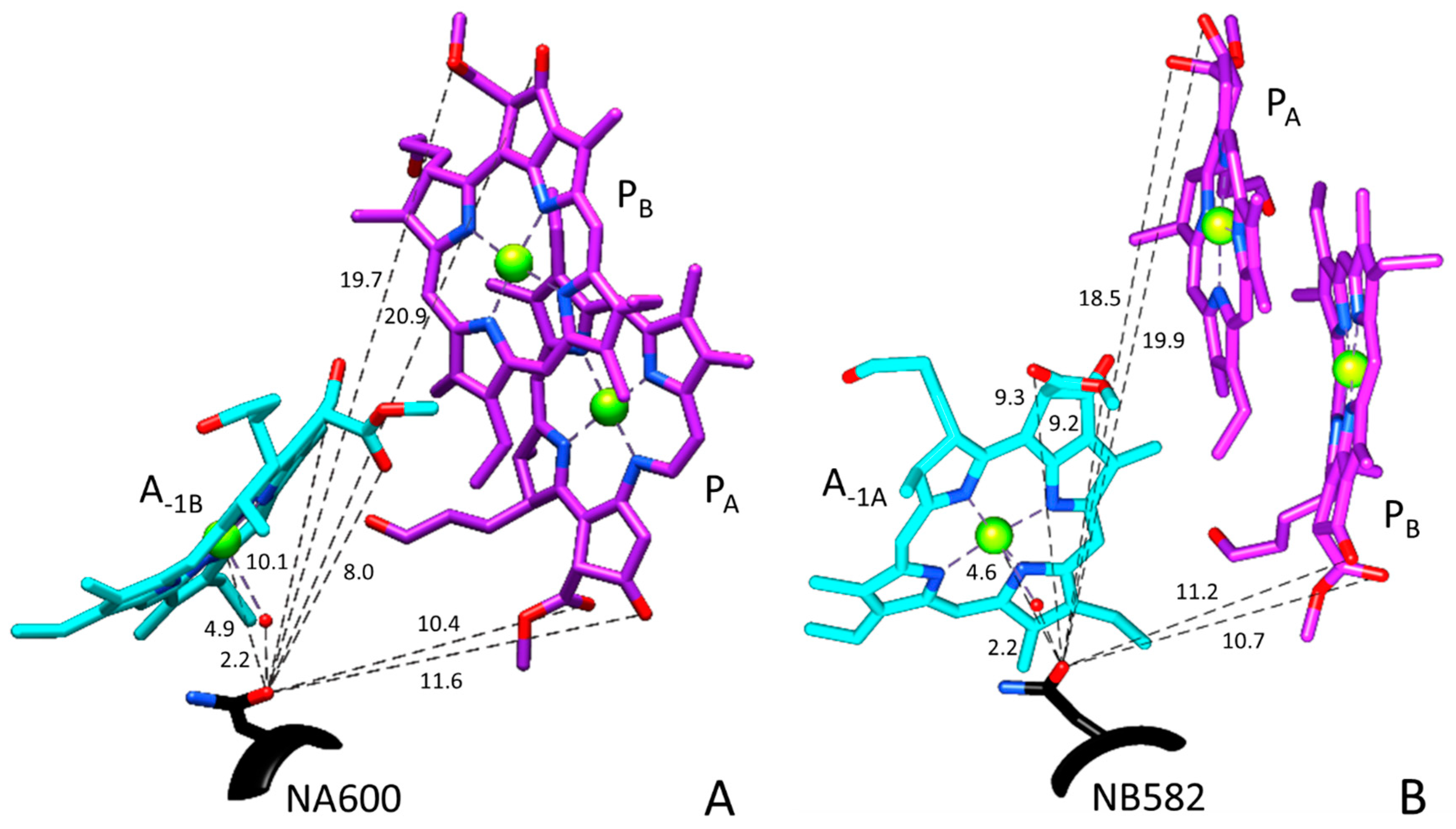 Ijms 25 04839 g002 Ijms 25 04839 g002