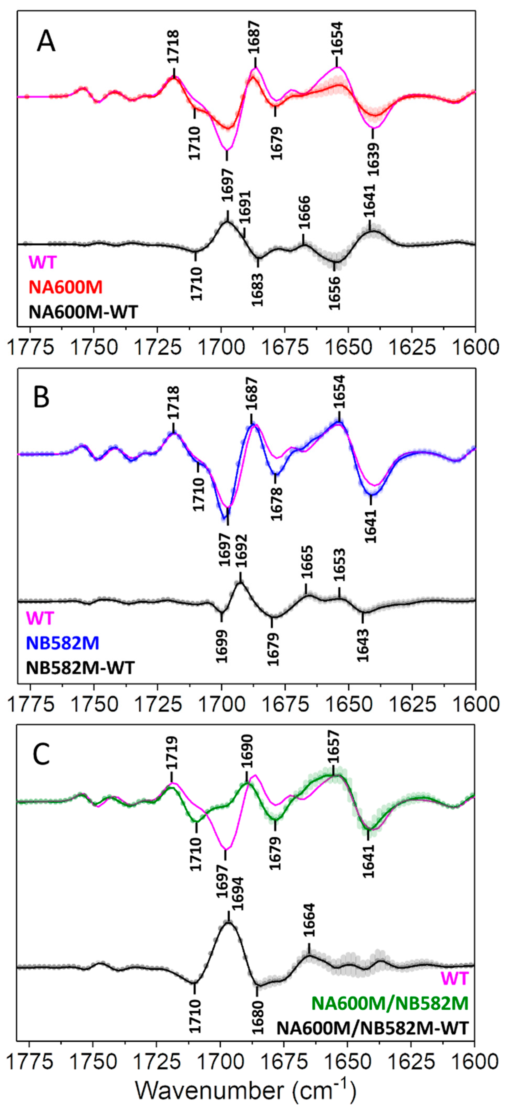 Ijms 25 04839 g003 Ijms 25 04839 g003