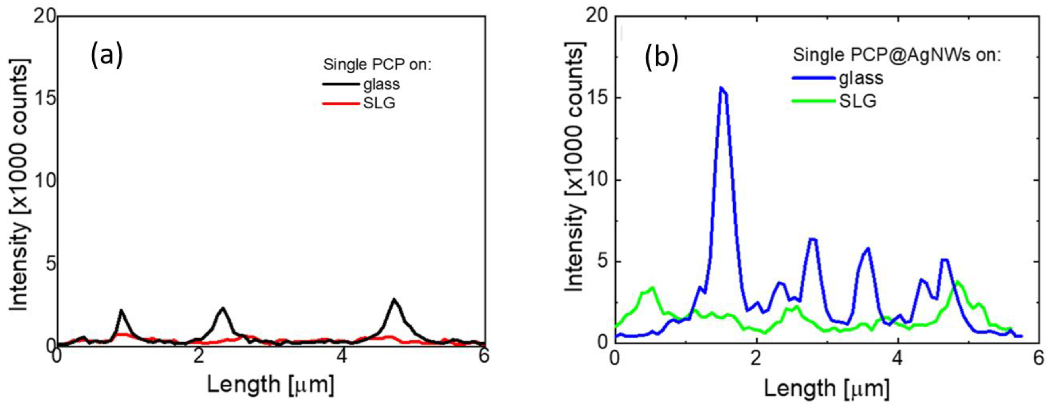 Ijms 25 04873 g002 Ijms 25 04873 g002
