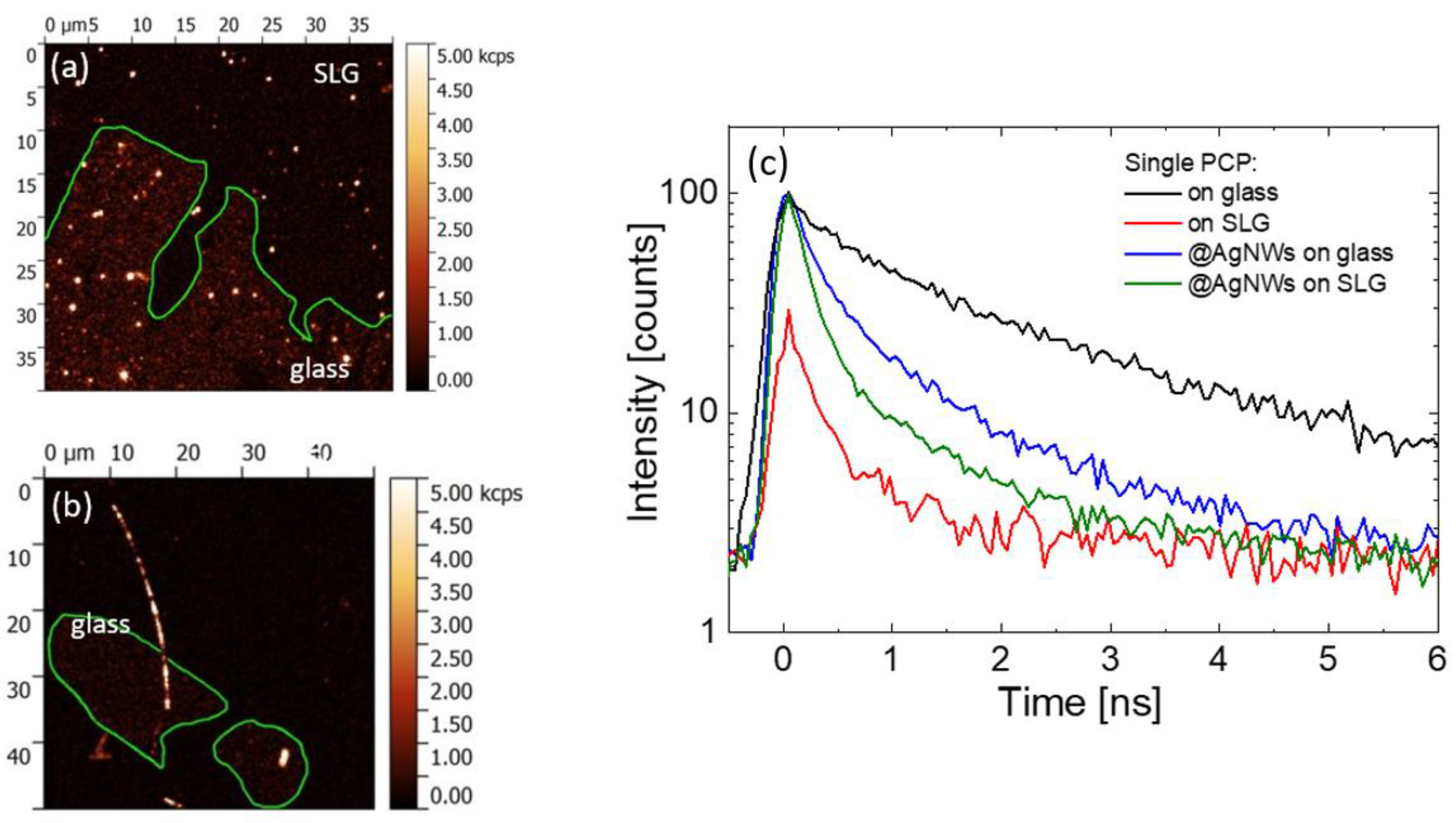 Ijms 25 04873 g004 Ijms 25 04873 g004
