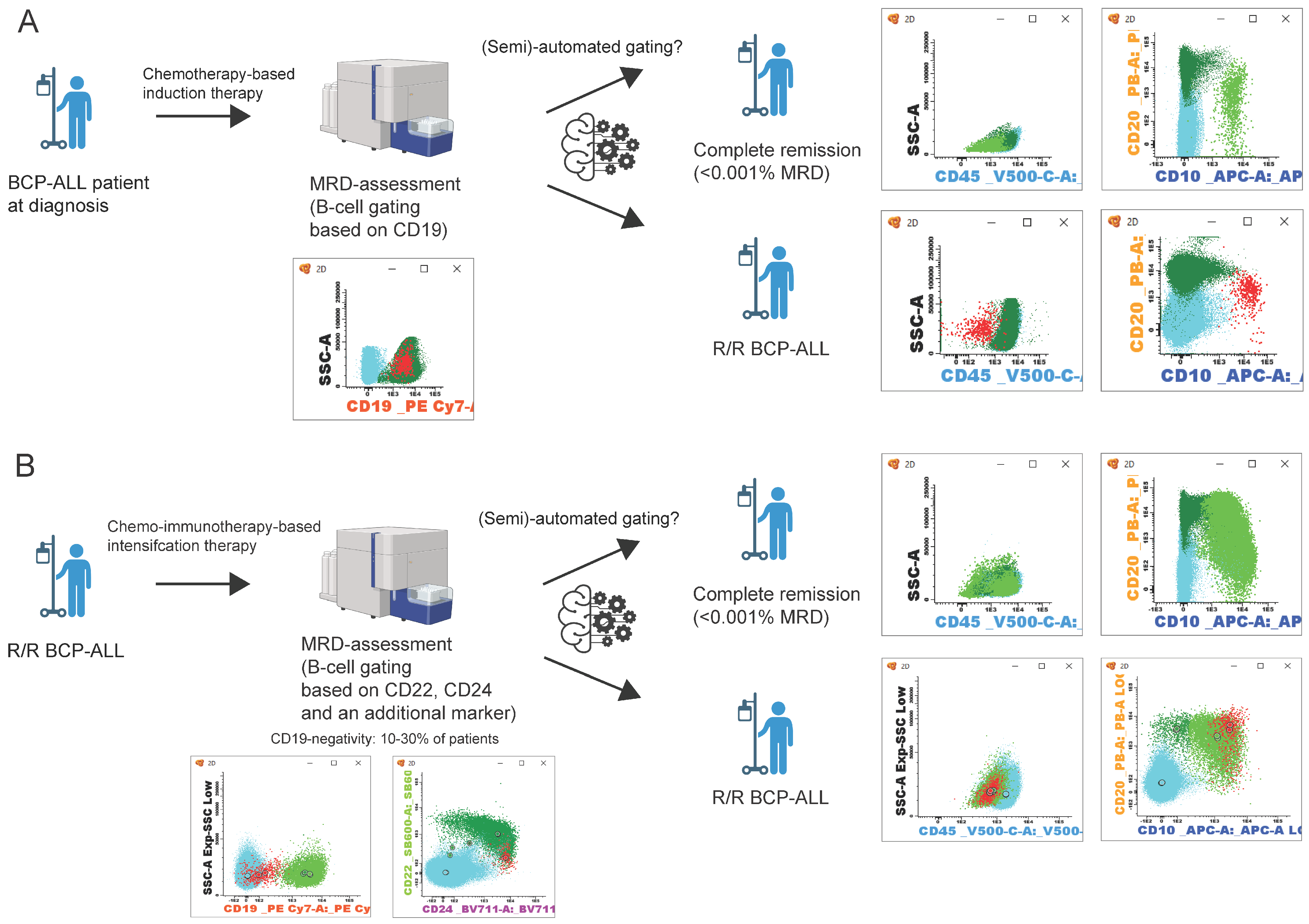 Ijms 25 04881 g001 Ijms 25 04881 g001