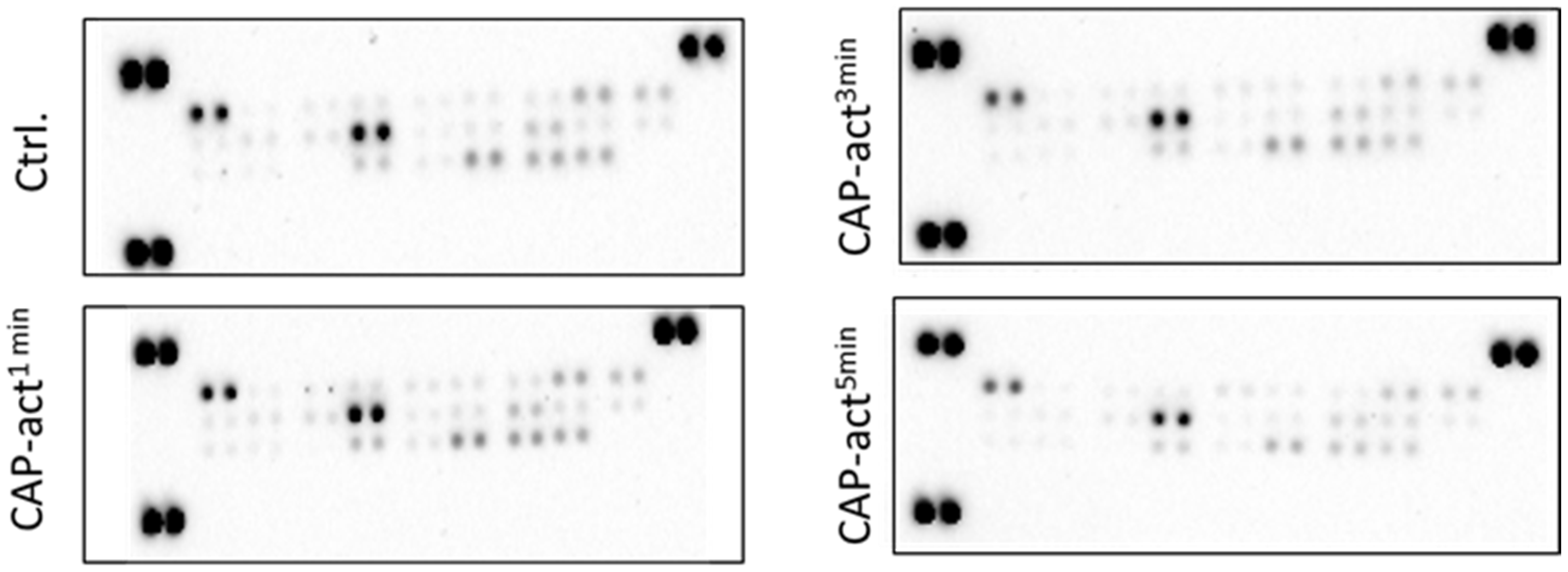 Ijms 25 04944 g0a2 Ijms 25 04944 g0a2