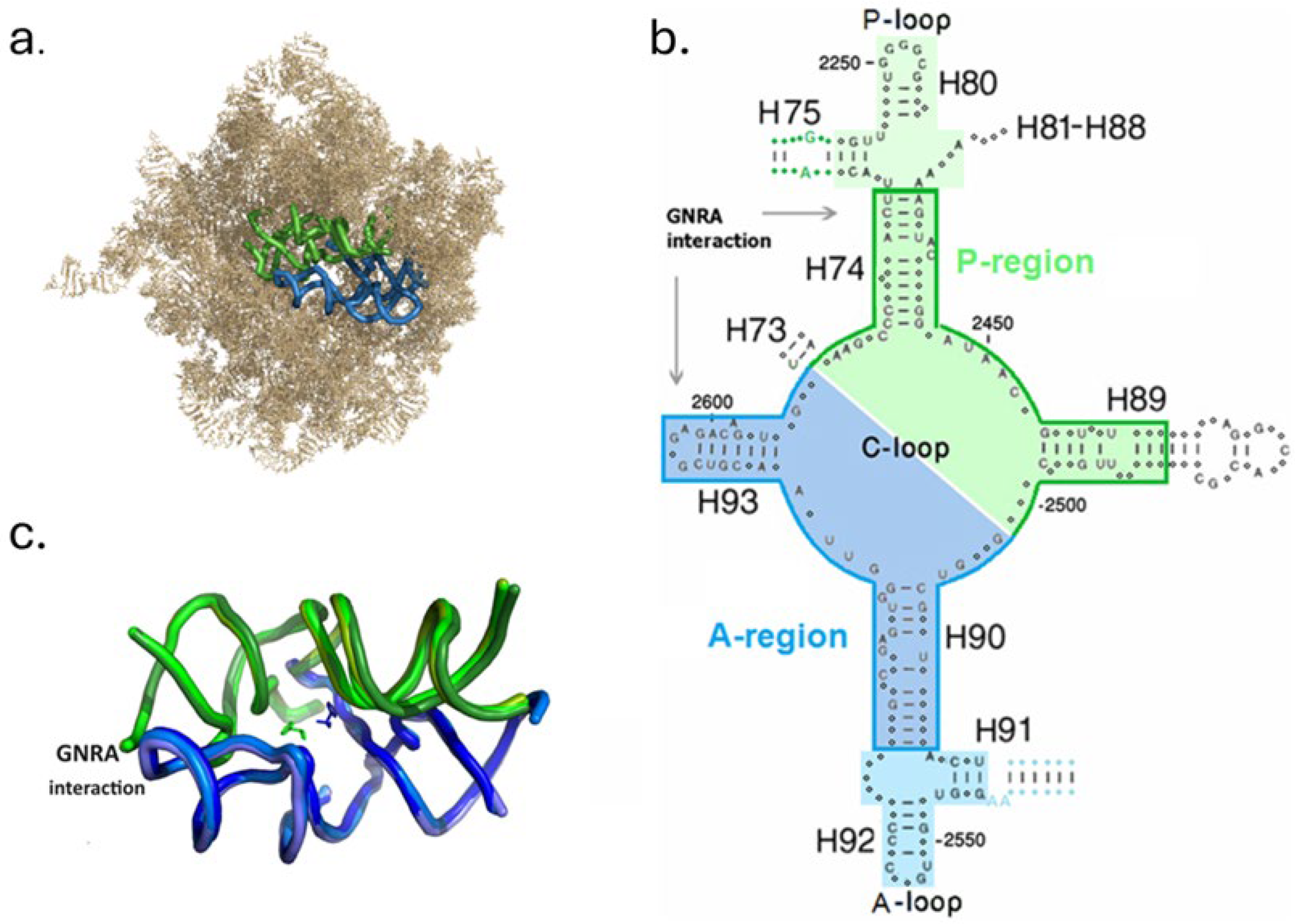 Ijms 25 04960 g001 Ijms 25 04960 g001