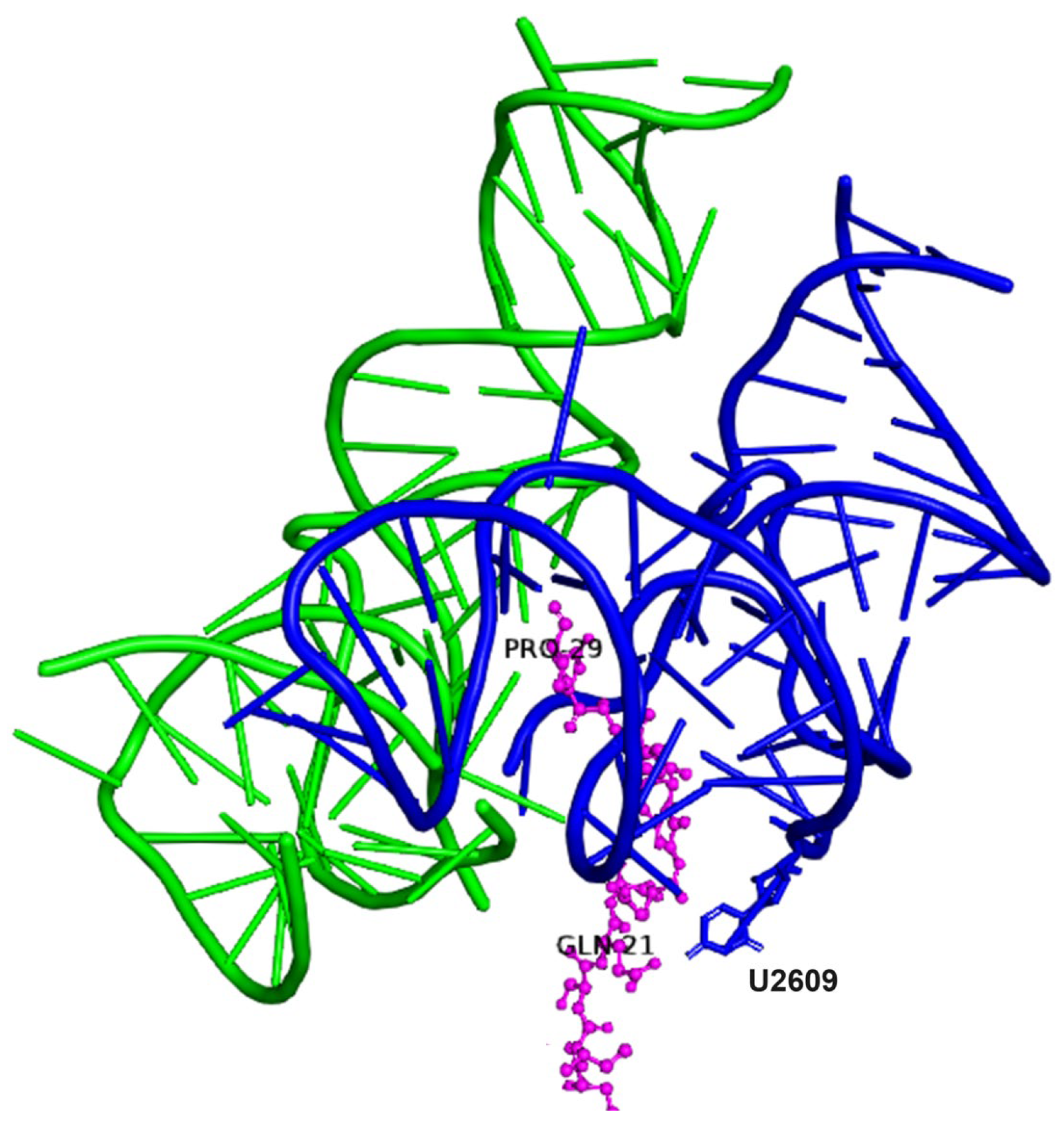 Ijms 25 04960 g003 Ijms 25 04960 g003