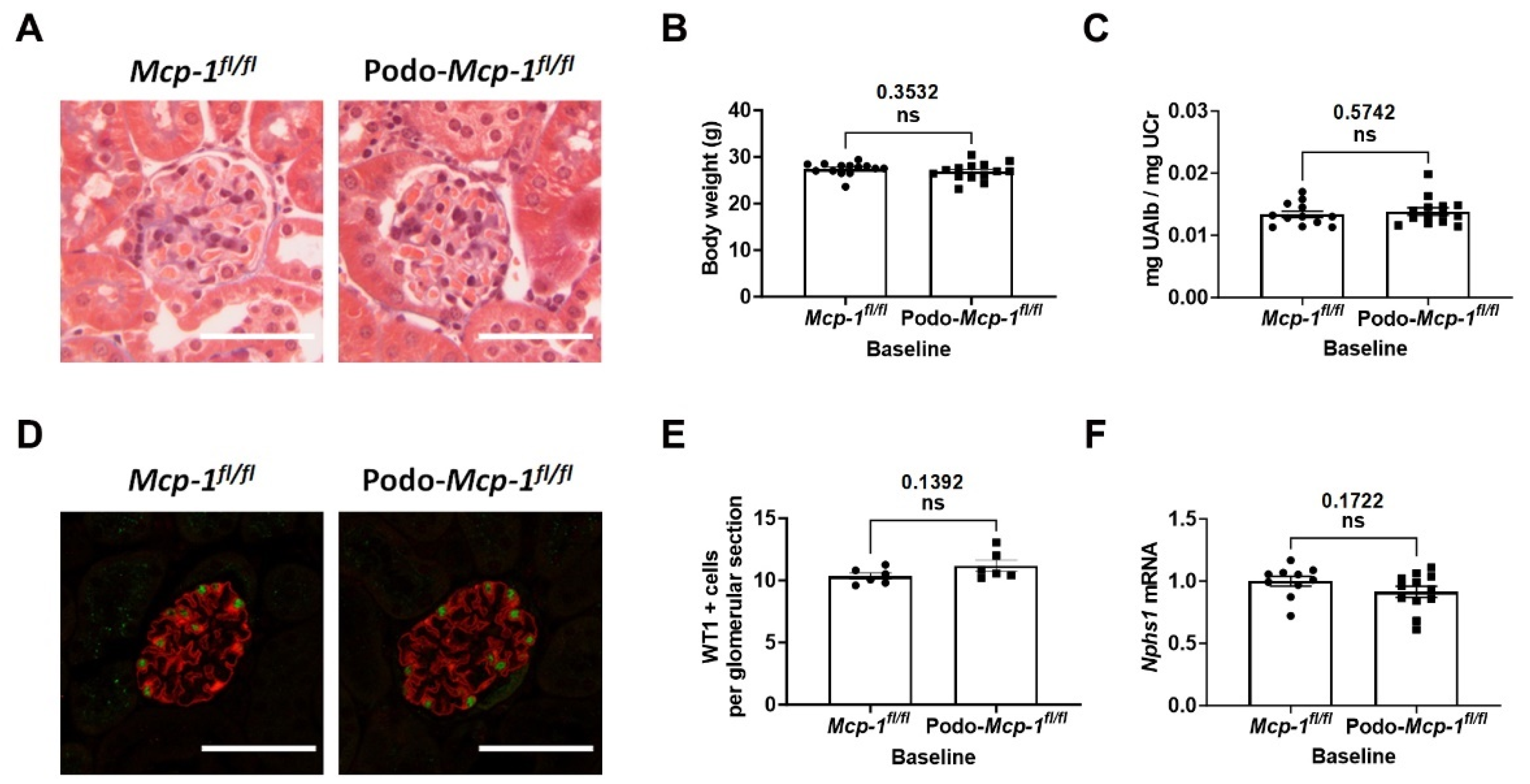 Ijms 25 04987 g002 Ijms 25 04987 g002