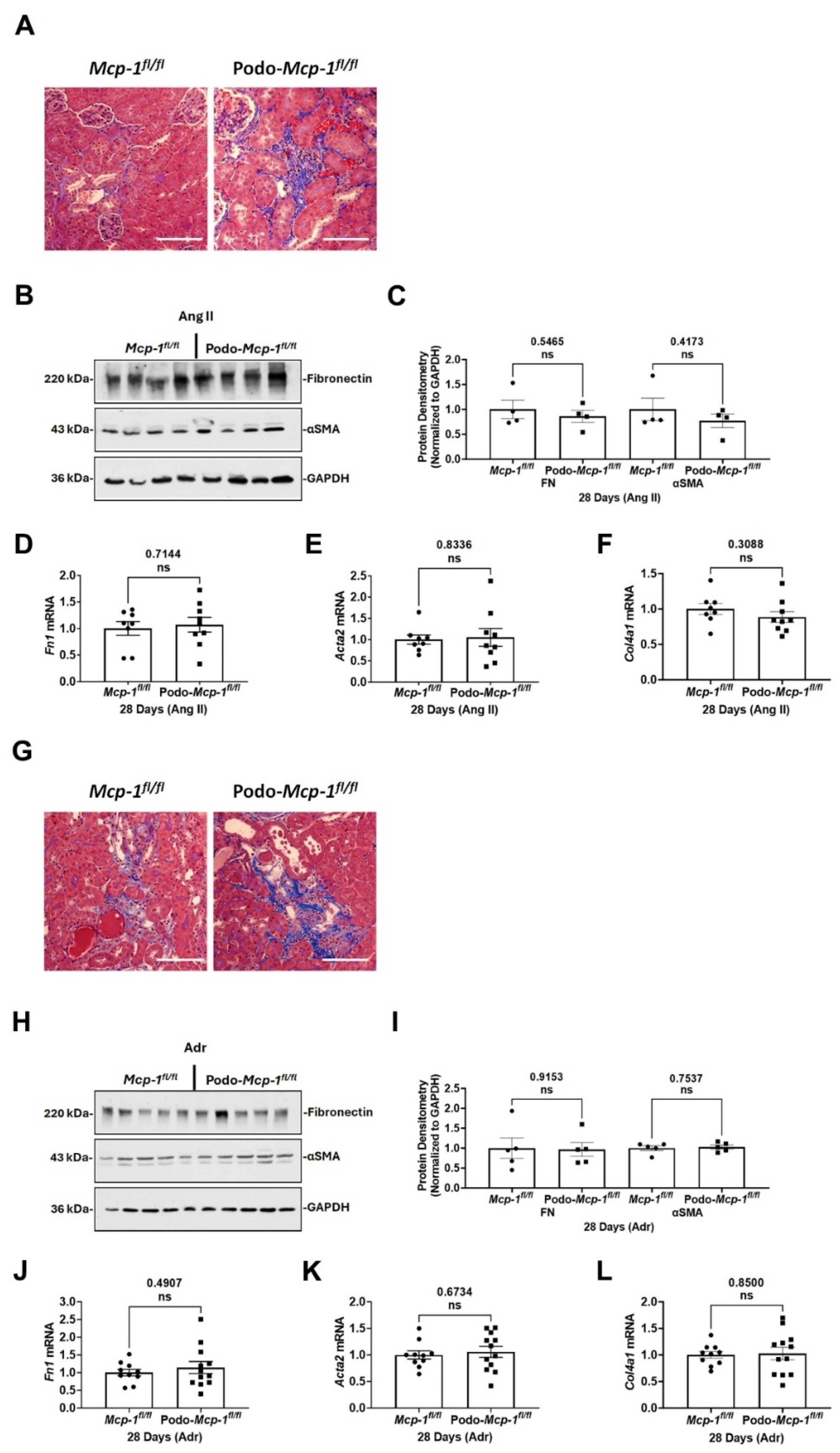 Ijms 25 04987 g005 Ijms 25 04987 g005