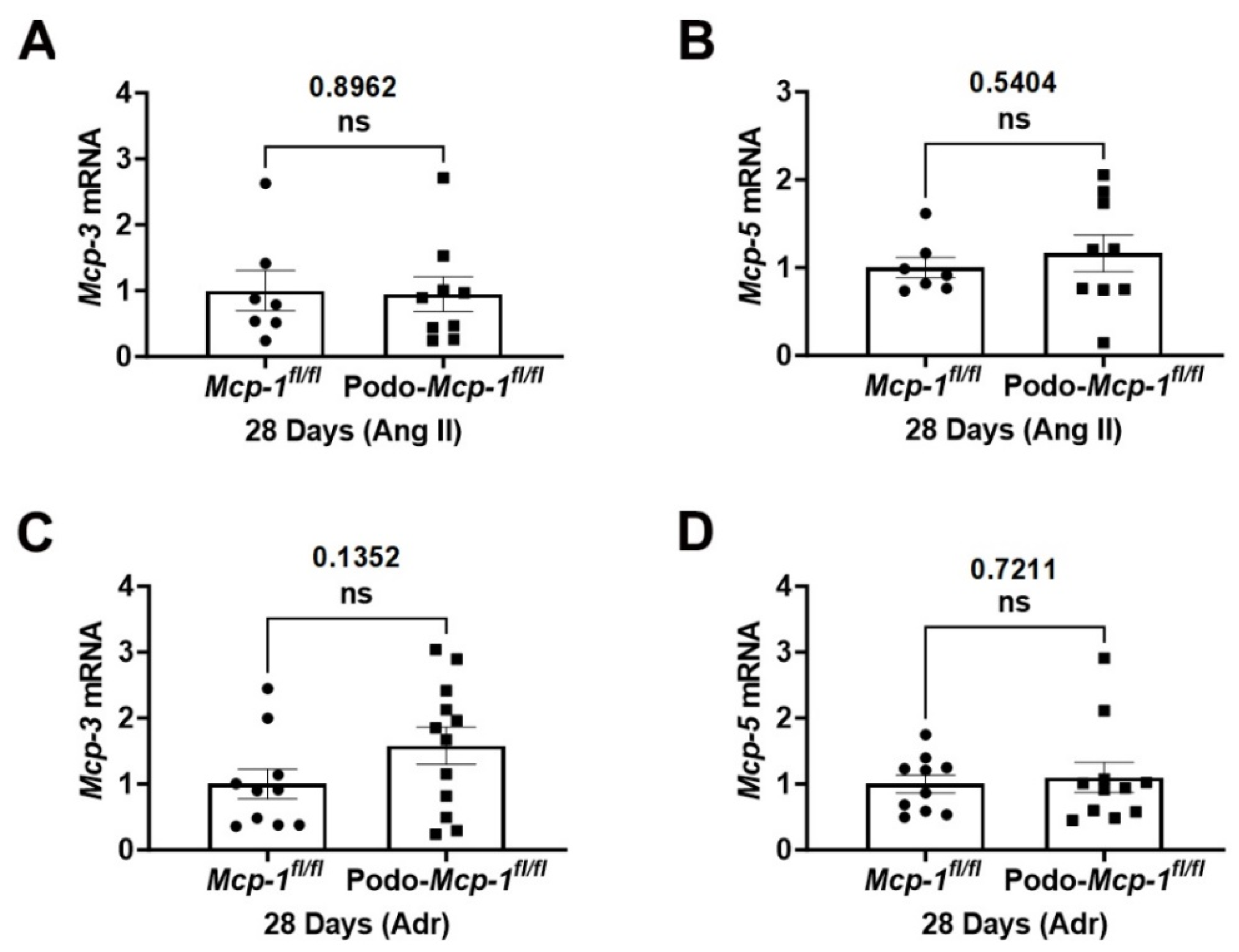 Ijms 25 04987 g006 Ijms 25 04987 g006