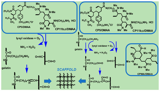 Ijms 25 05009 sch001