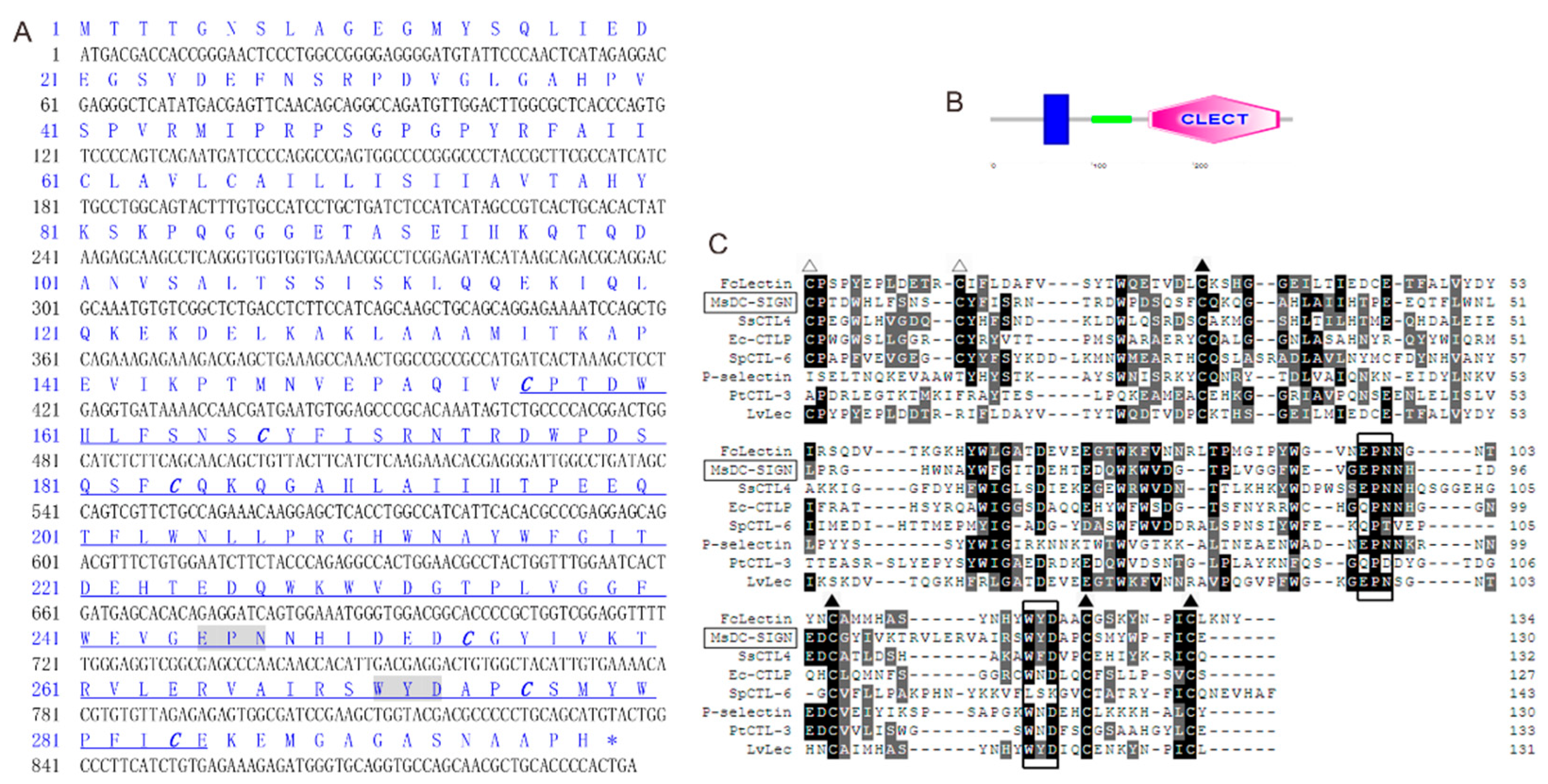Ijms 25 05013 g001 Ijms 25 05013 g001