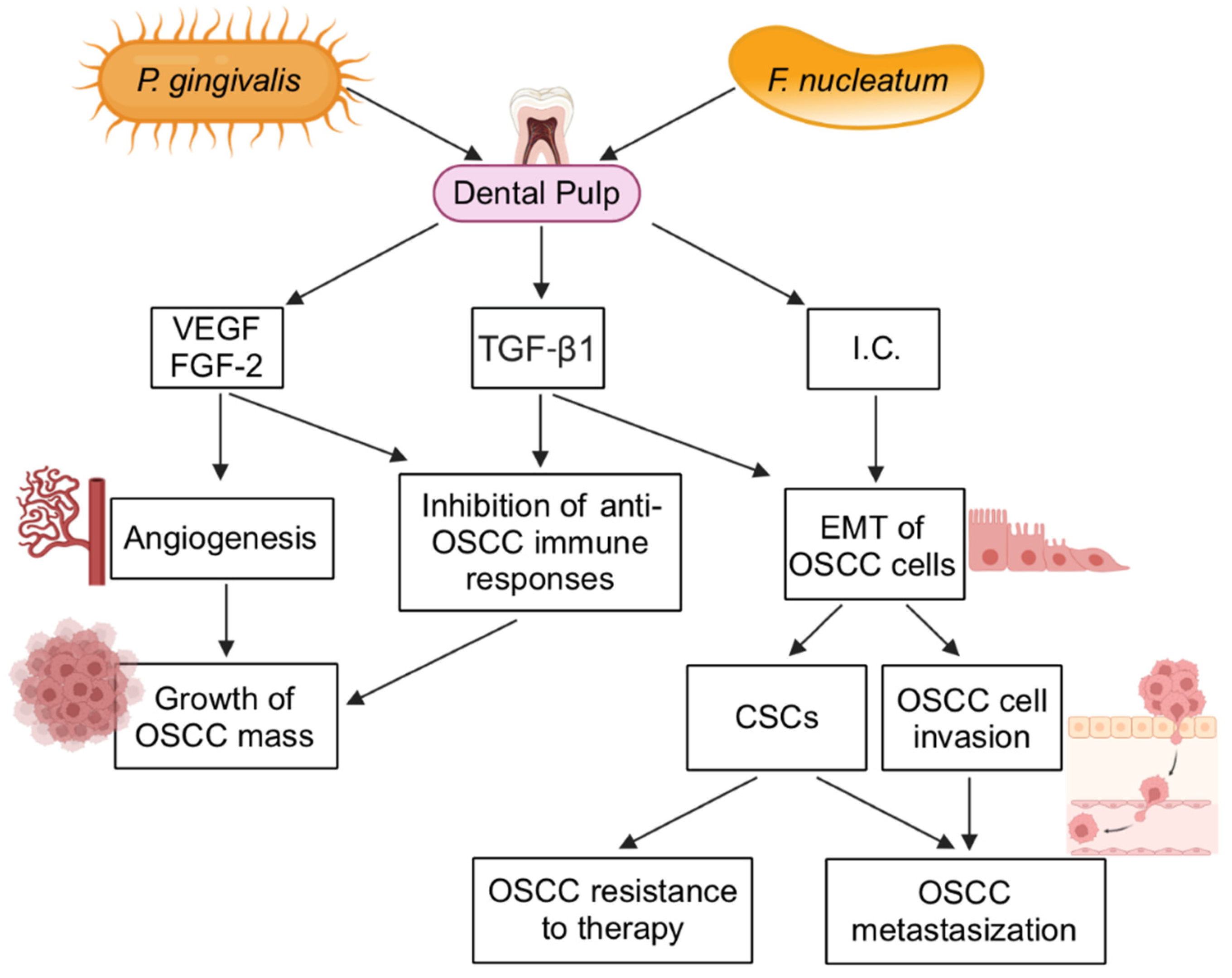 Ijms 25 05083 g001 Ijms 25 05083 g001