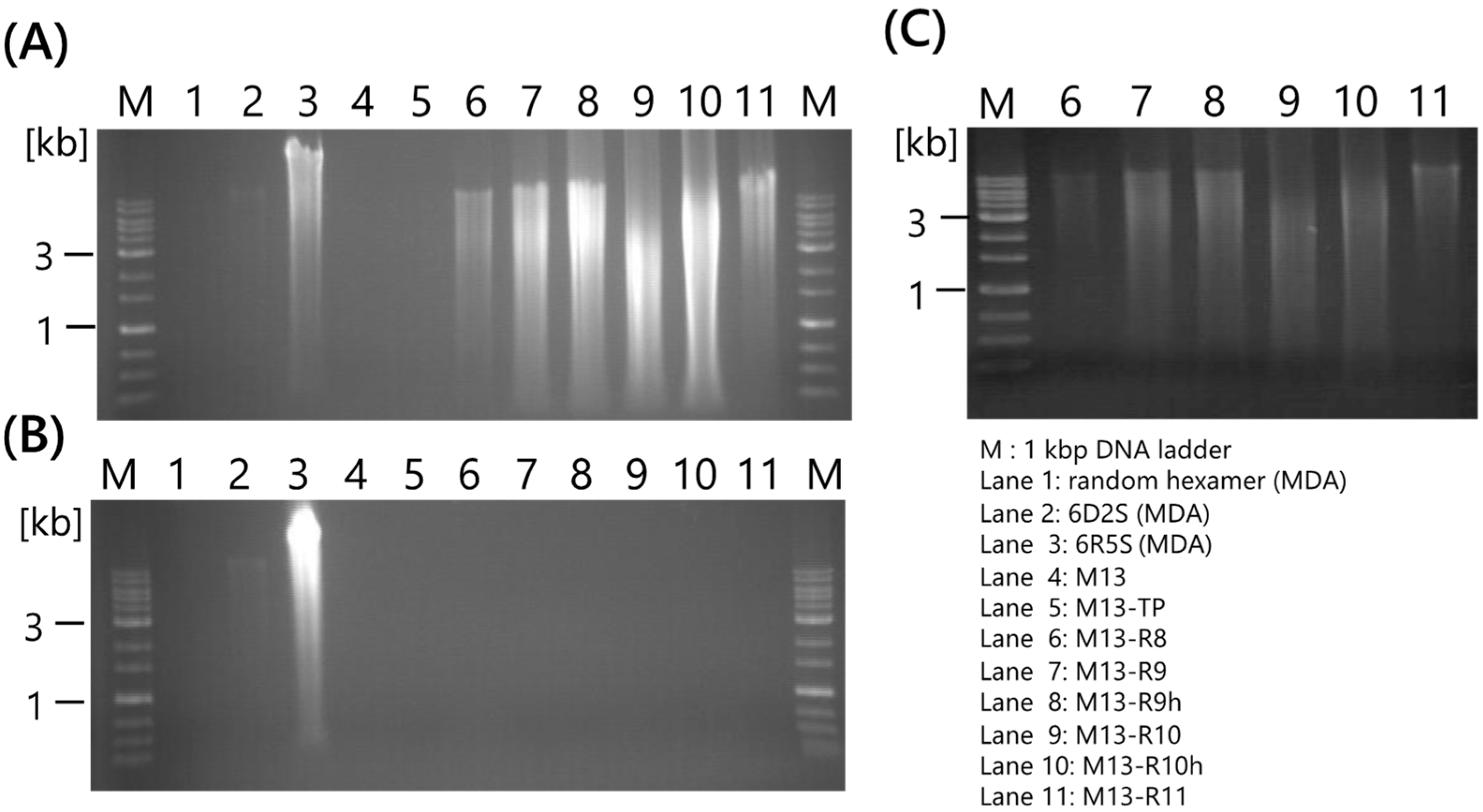 Ijms 25 05089 g001