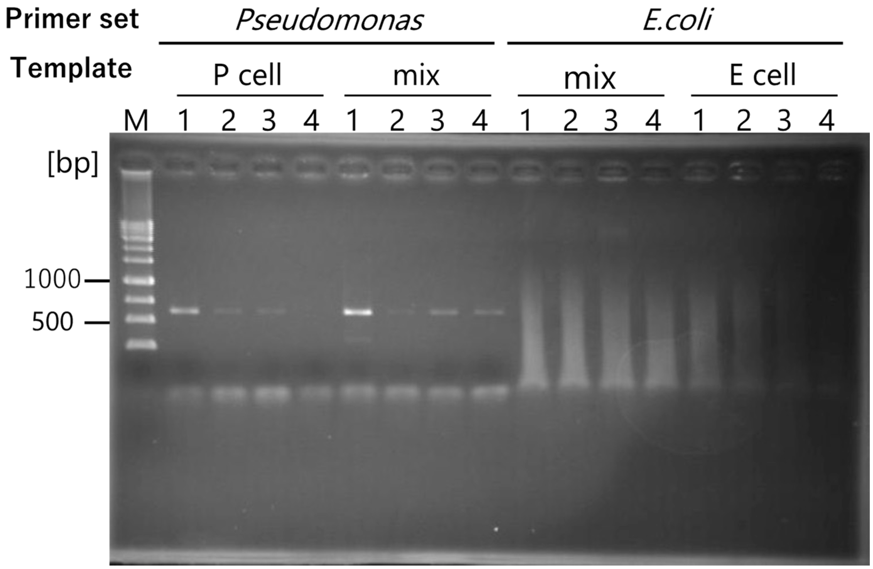 Ijms 25 05089 g004