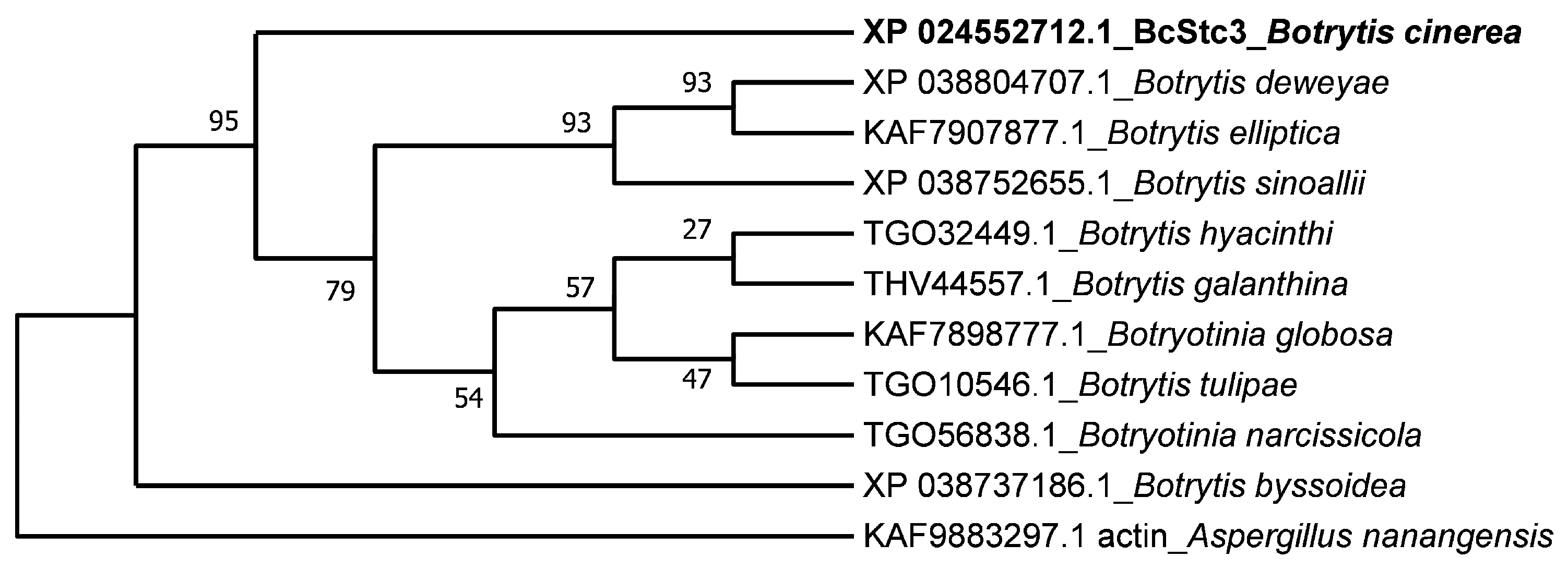 Ijms 25 05125 g002 Ijms 25 05125 g002