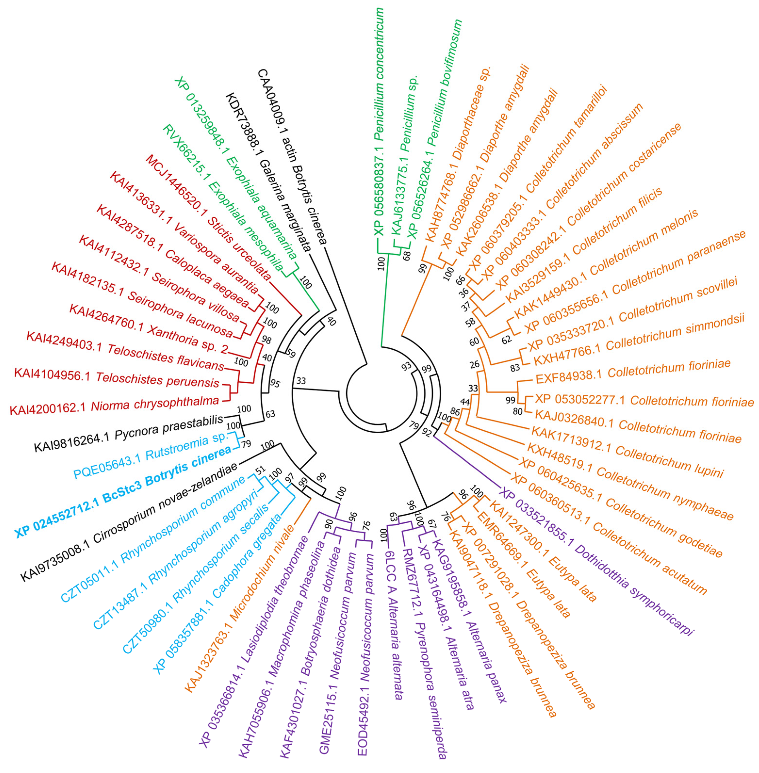Ijms 25 05125 g003 Ijms 25 05125 g003