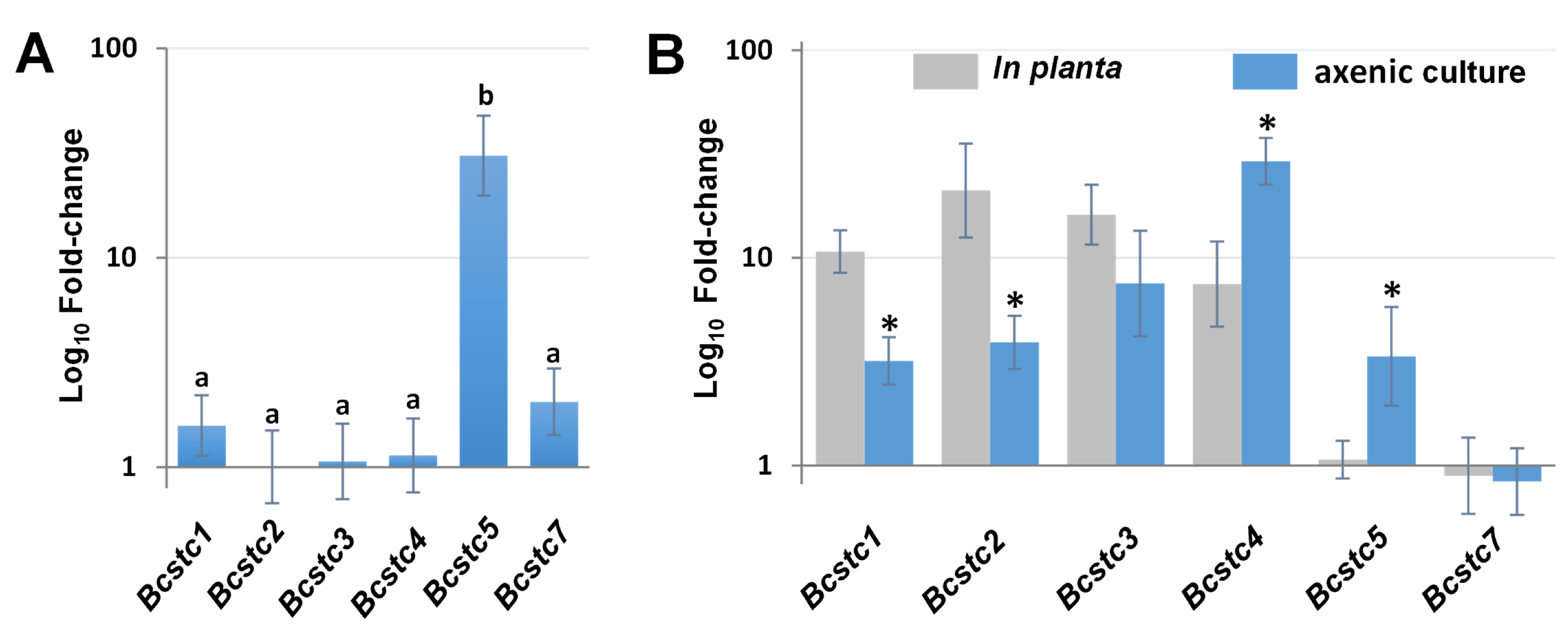 Ijms 25 05125 g004 Ijms 25 05125 g004