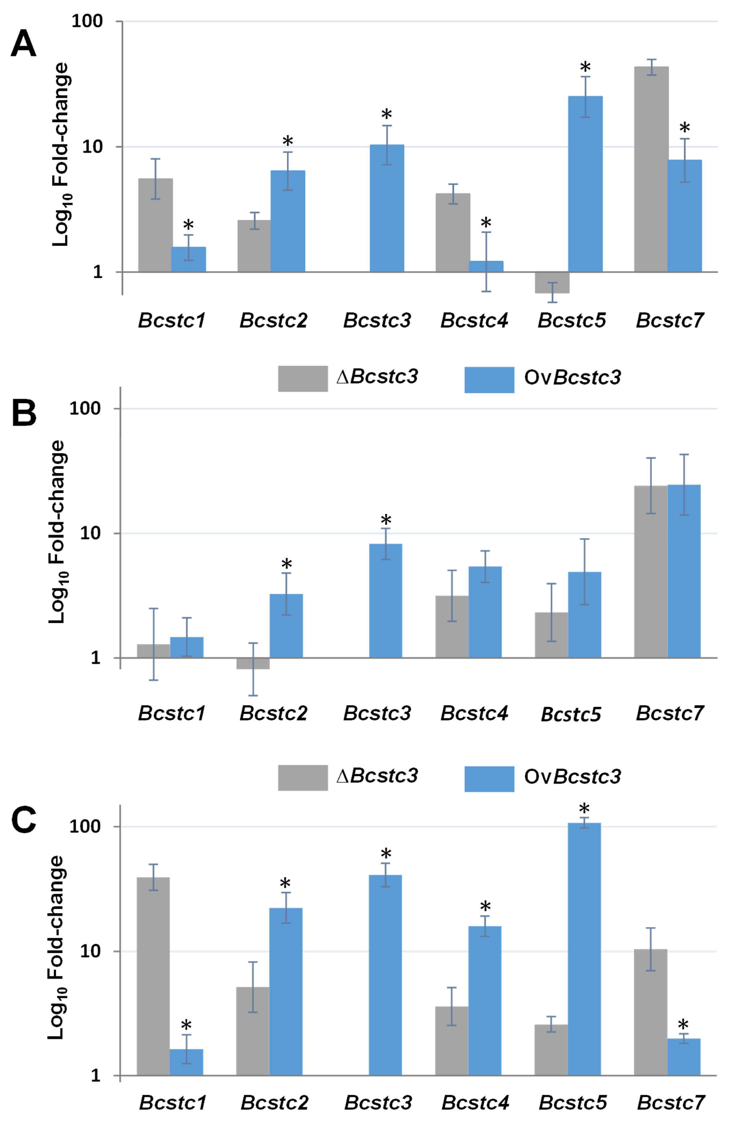 Ijms 25 05125 g005 Ijms 25 05125 g005