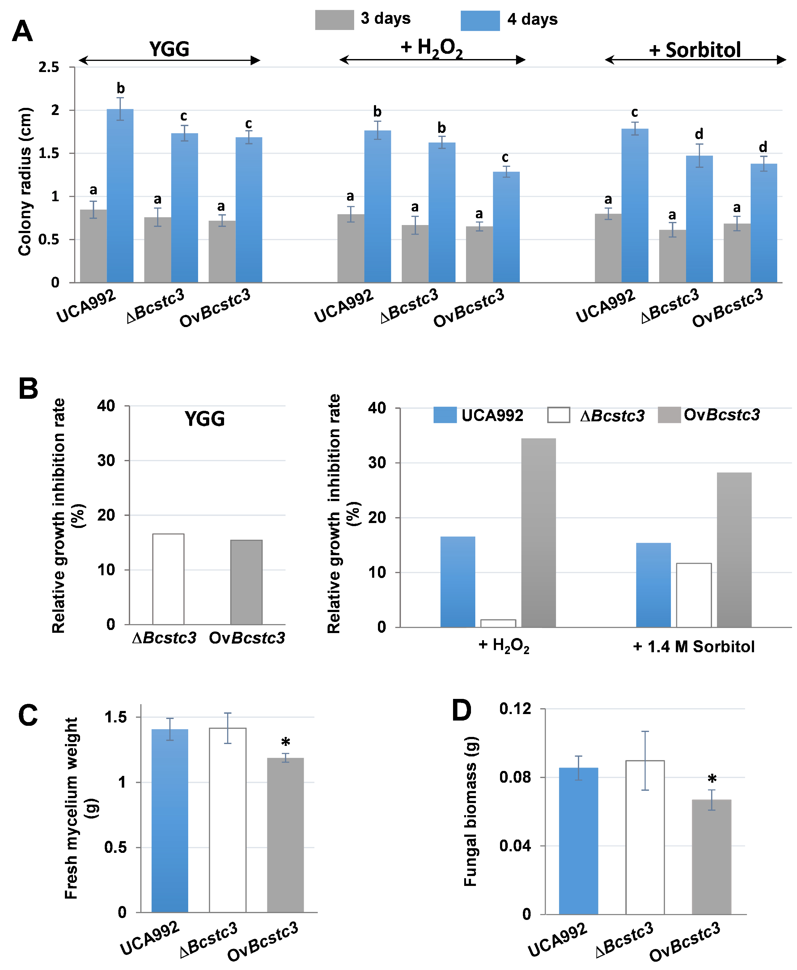 Ijms 25 05125 g006 Ijms 25 05125 g006