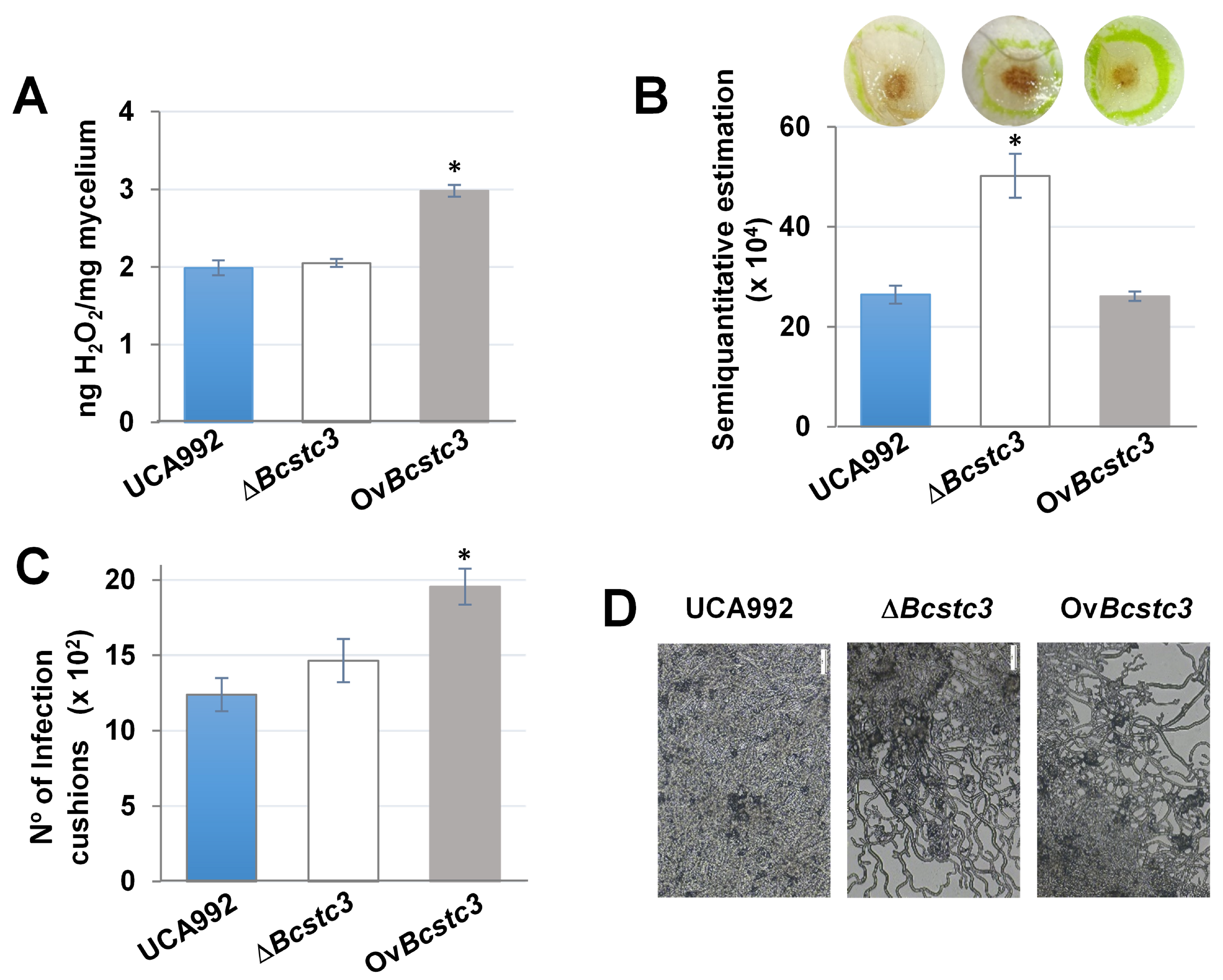 Ijms 25 05125 g009 Ijms 25 05125 g009