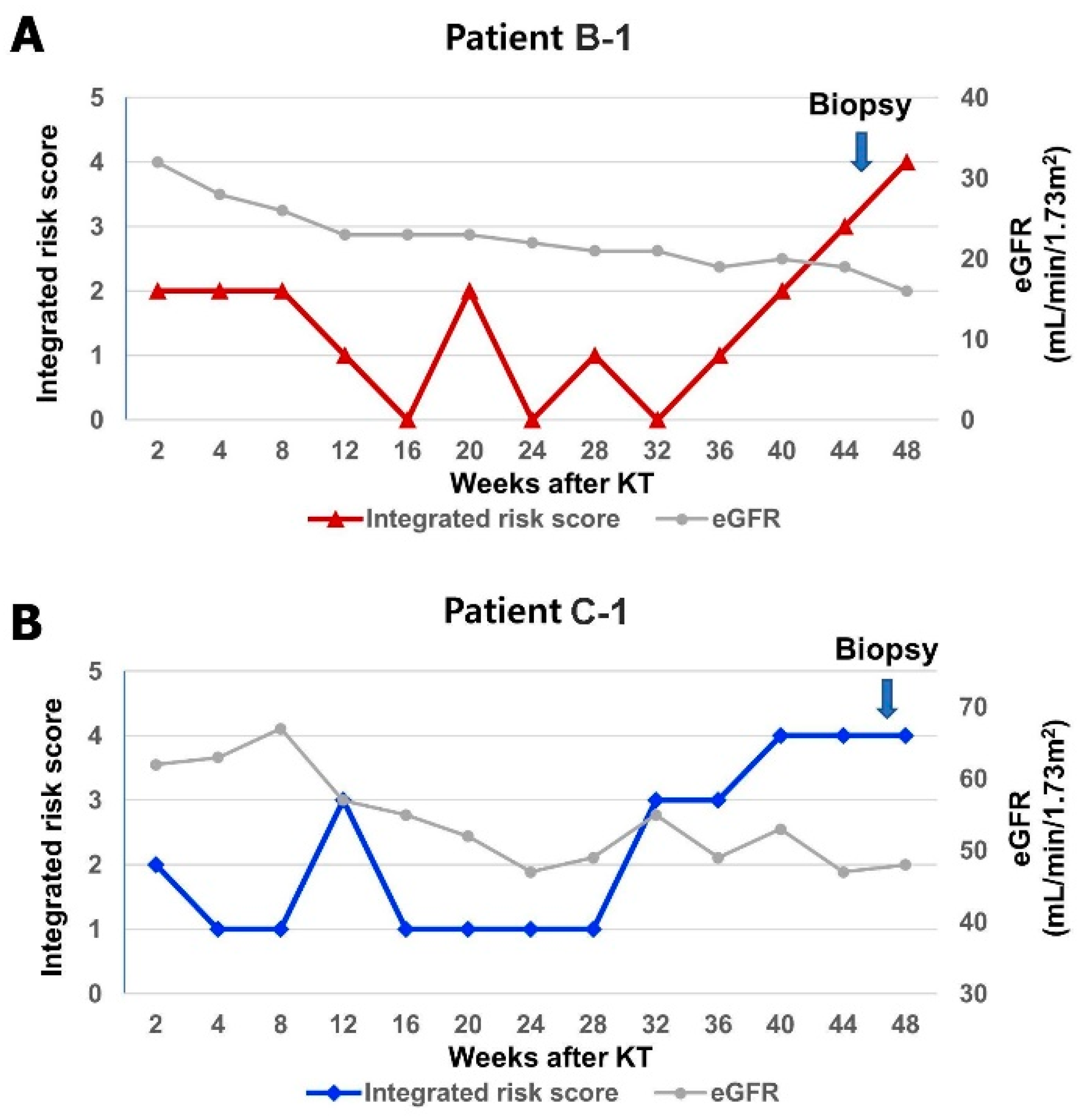 Ijms 25 05139 g004a Ijms 25 05139 g004a