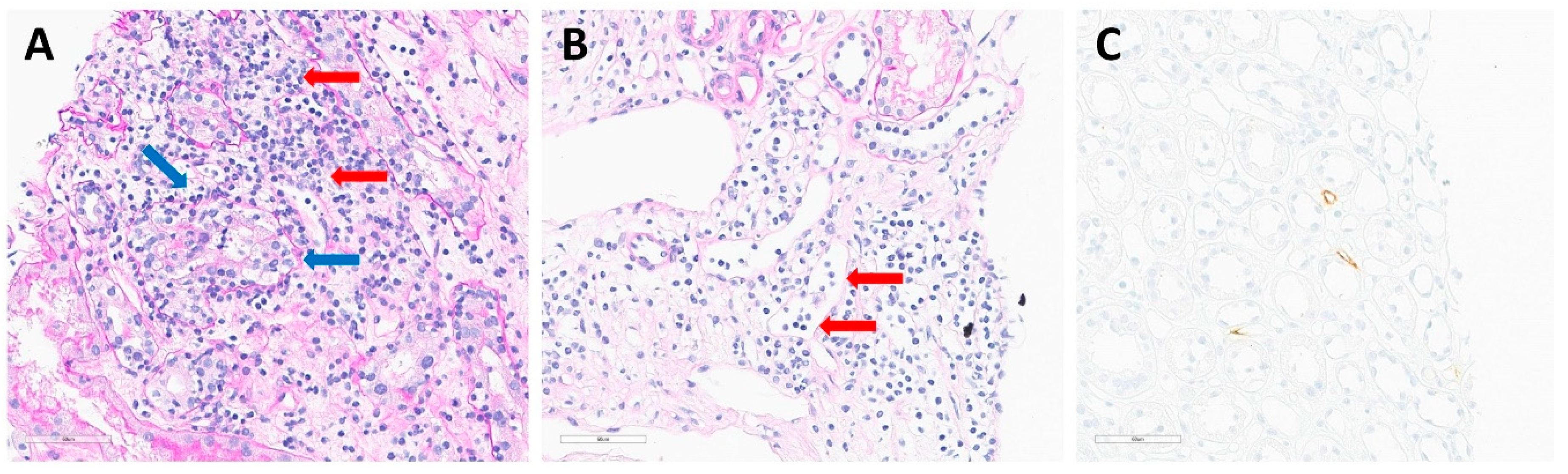 Ijms 25 05139 g005 Ijms 25 05139 g005