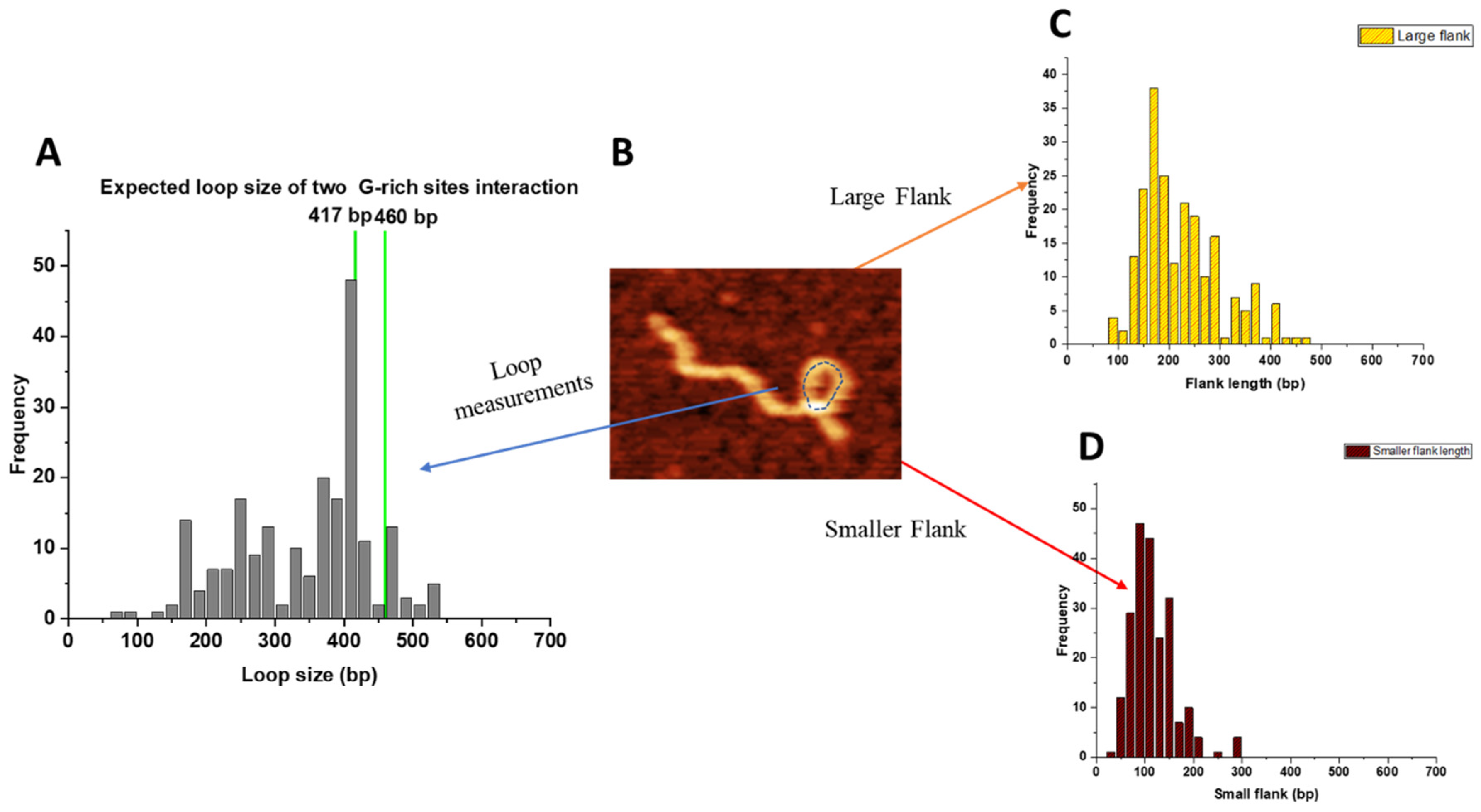 Ijms 25 05145 g005 Ijms 25 05145 g005