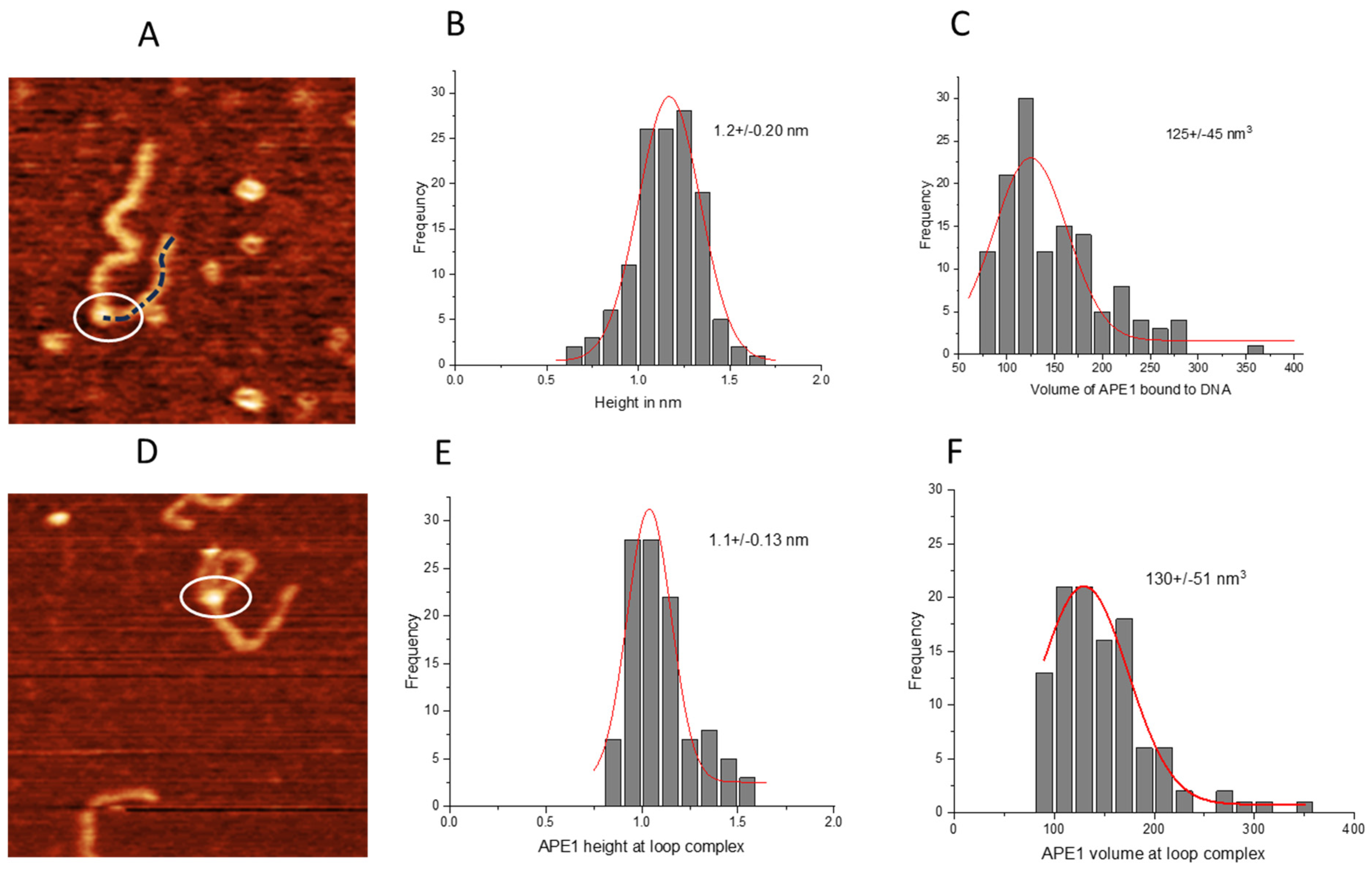Ijms 25 05145 g006 Ijms 25 05145 g006