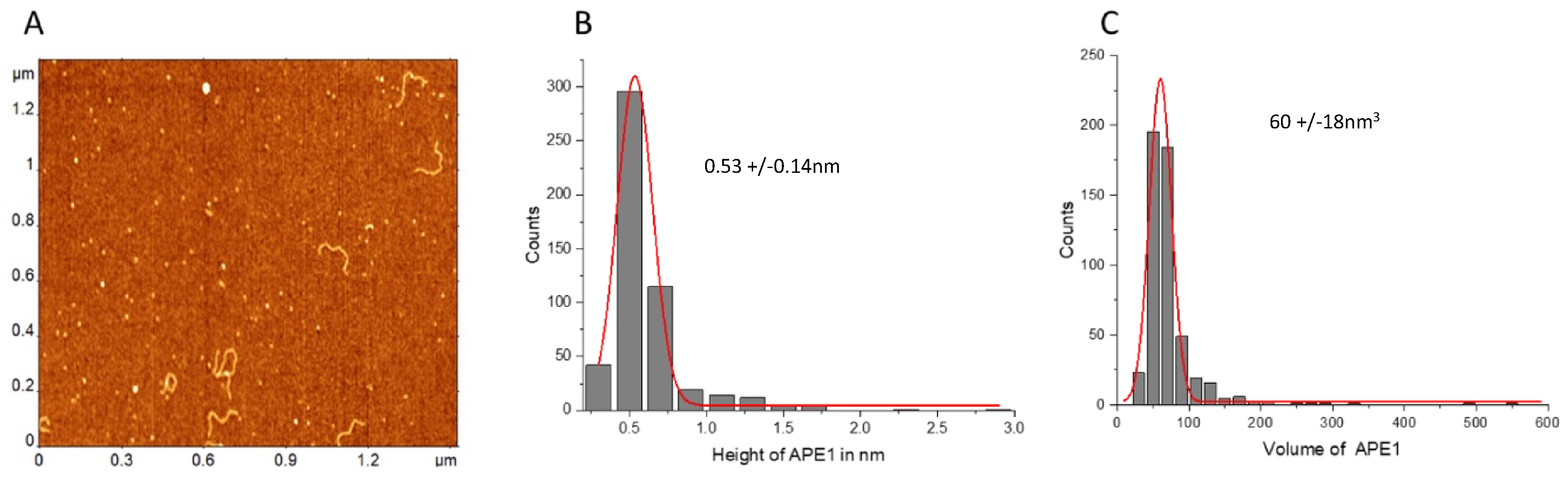 Ijms 25 05145 g008 Ijms 25 05145 g008