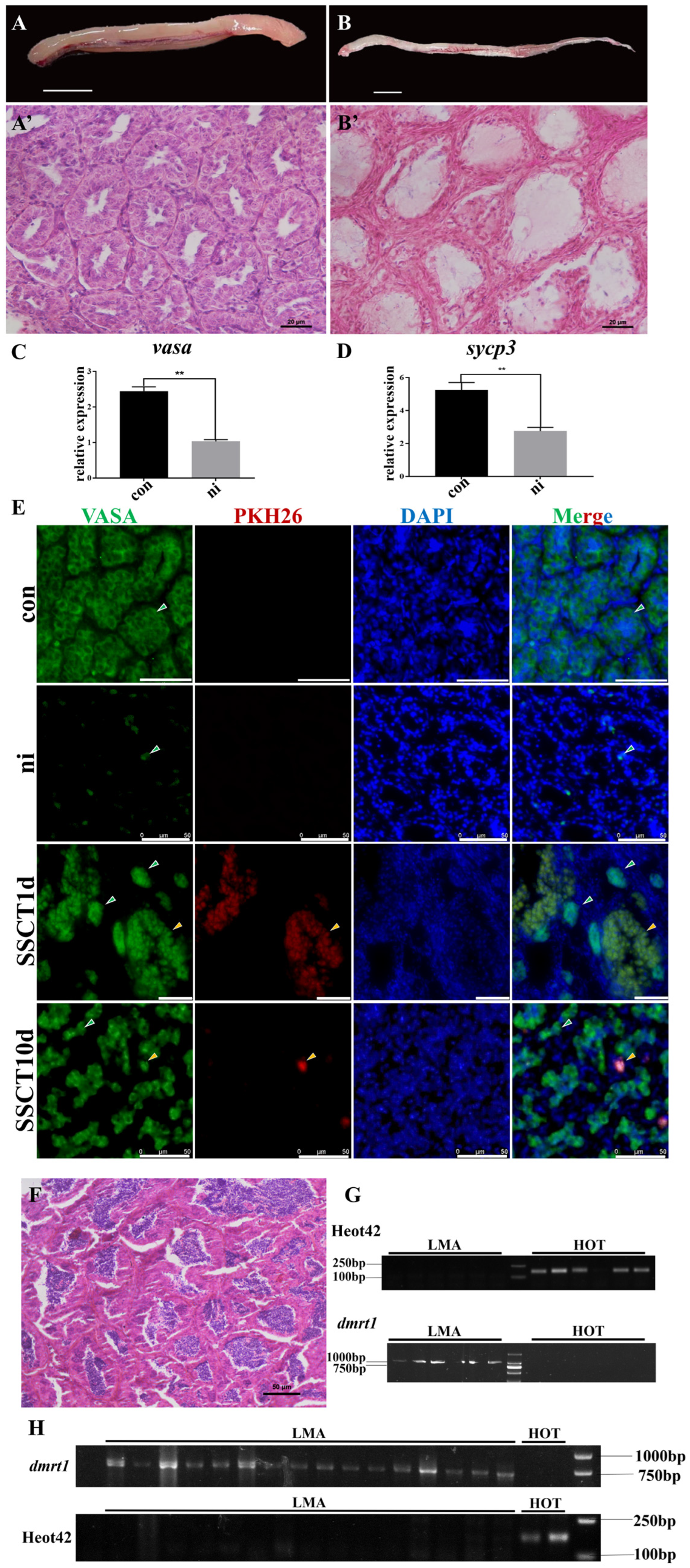 Ijms 25 05157 g001