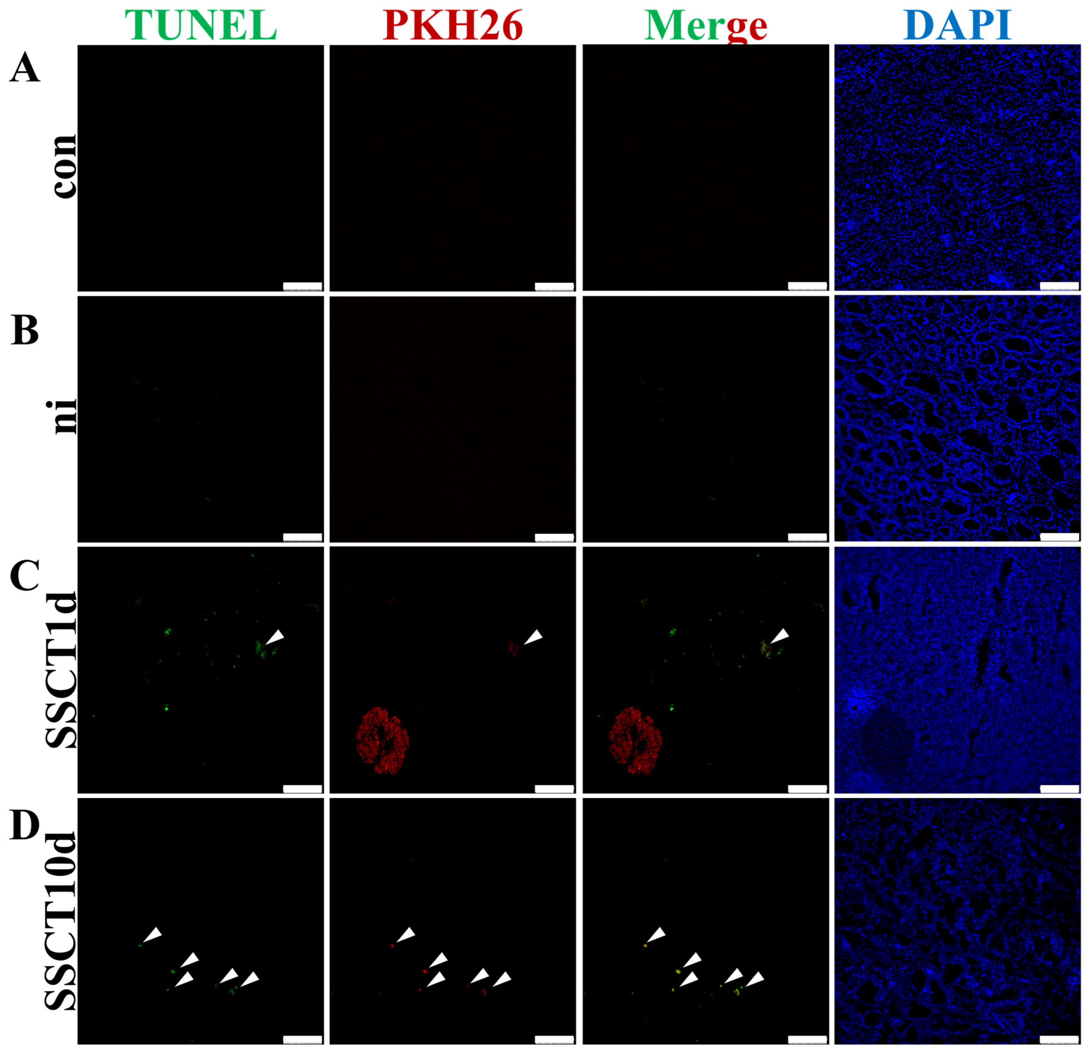 Ijms 25 05157 g002