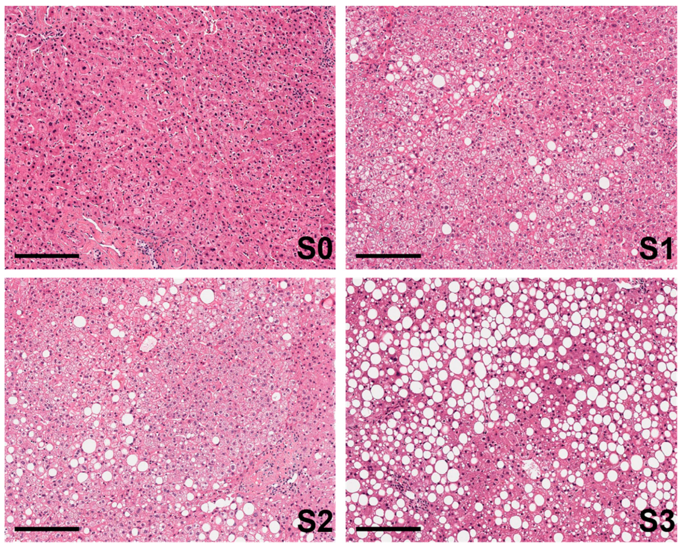 Ijms 25 05203 g001