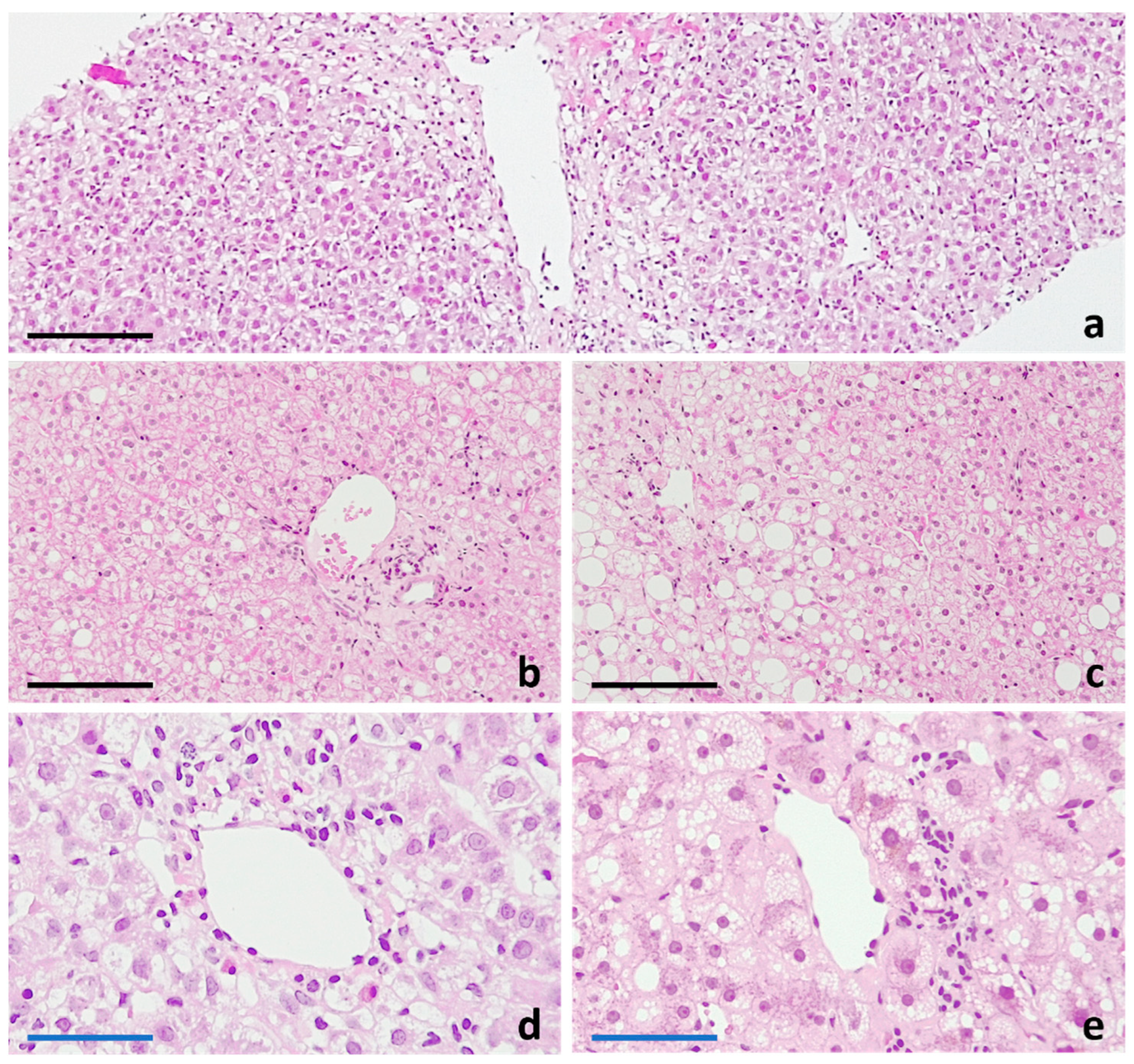 Ijms 25 05203 g003