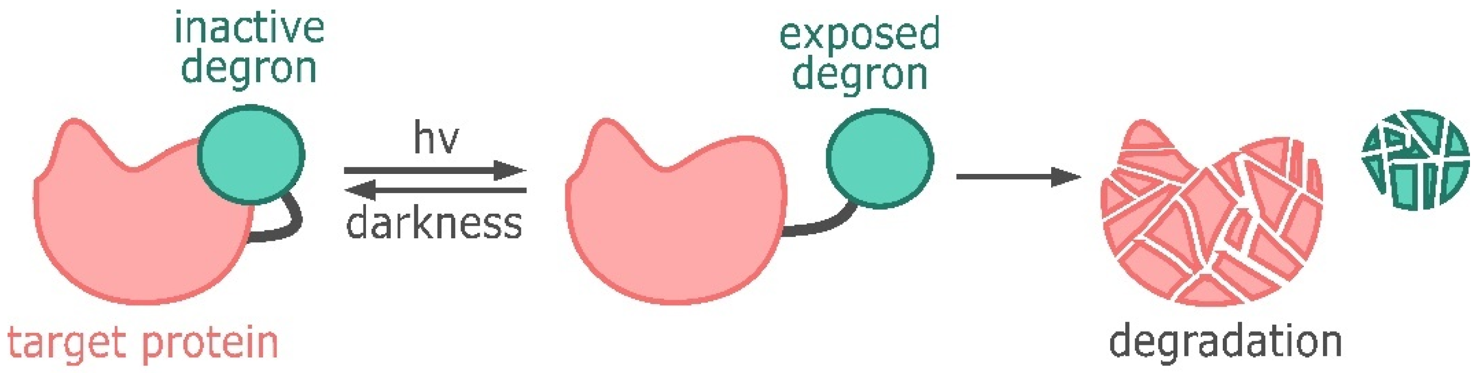 Ijms 25 05231 g006 Ijms 25 05231 g006