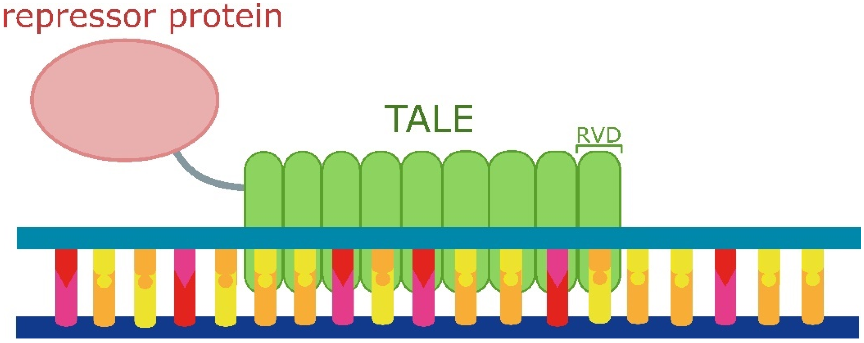 Ijms 25 05231 g008 Ijms 25 05231 g008