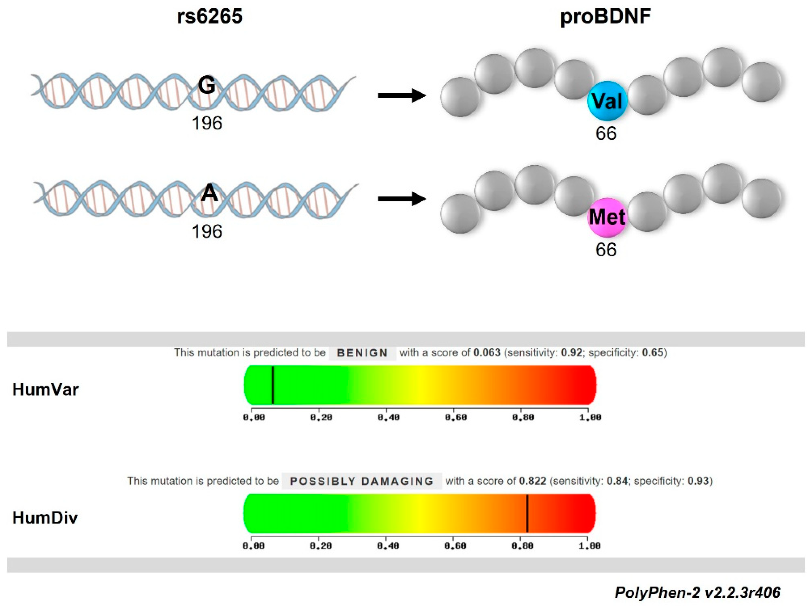 Ijms 25 05253 g002 Ijms 25 05253 g002