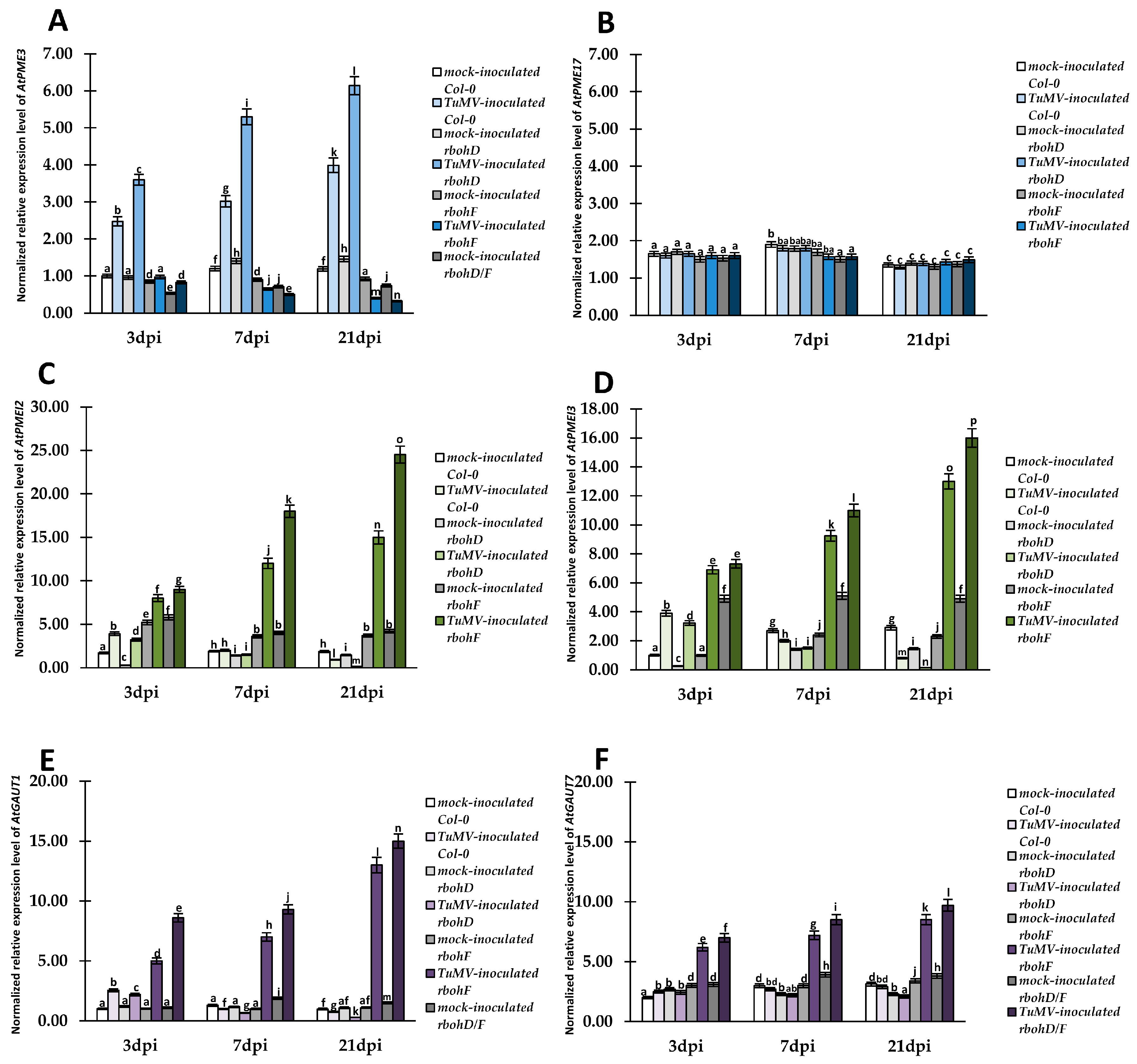 Ijms 25 05256 g002 Ijms 25 05256 g002
