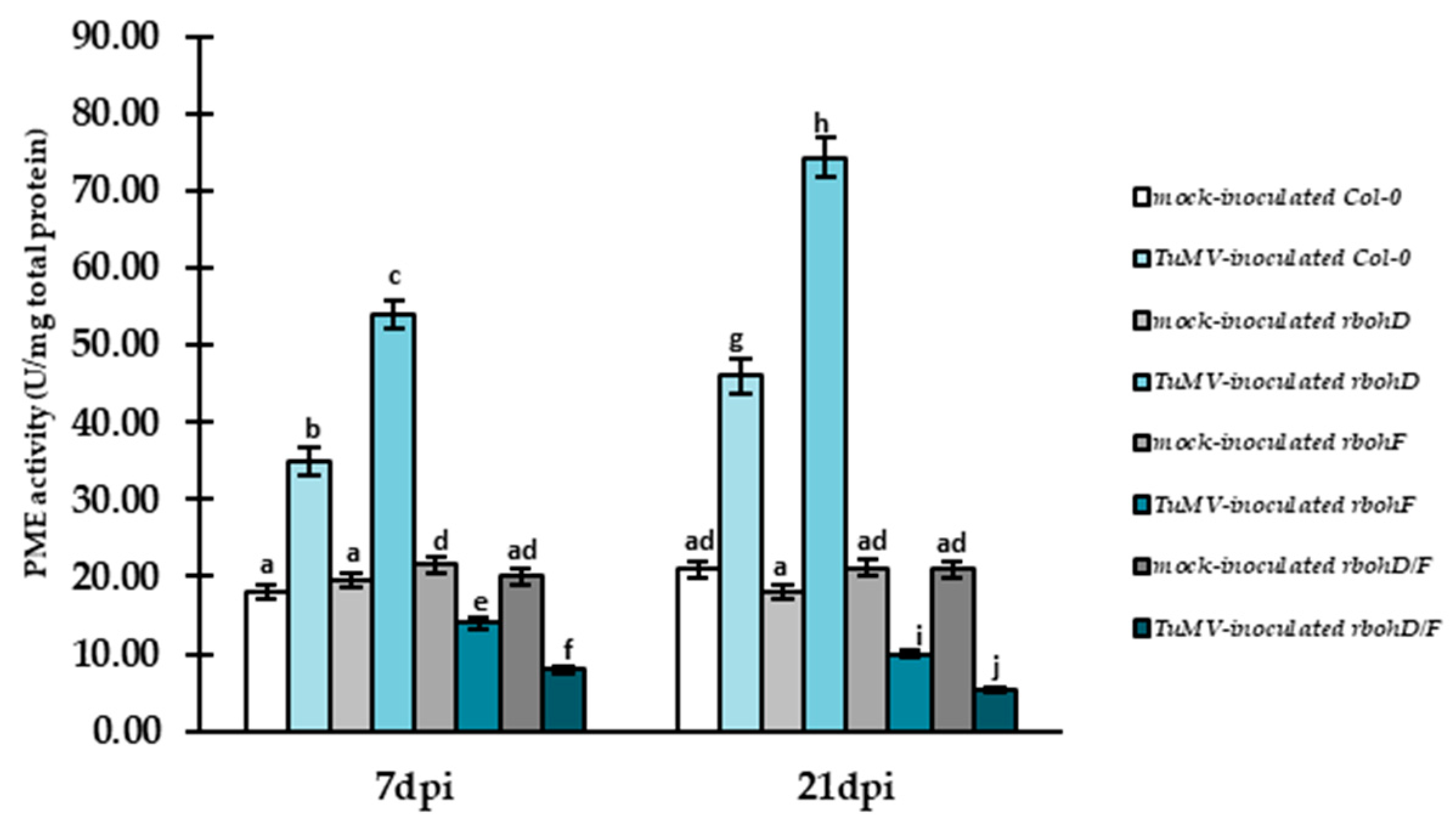 Ijms 25 05256 g007 Ijms 25 05256 g007
