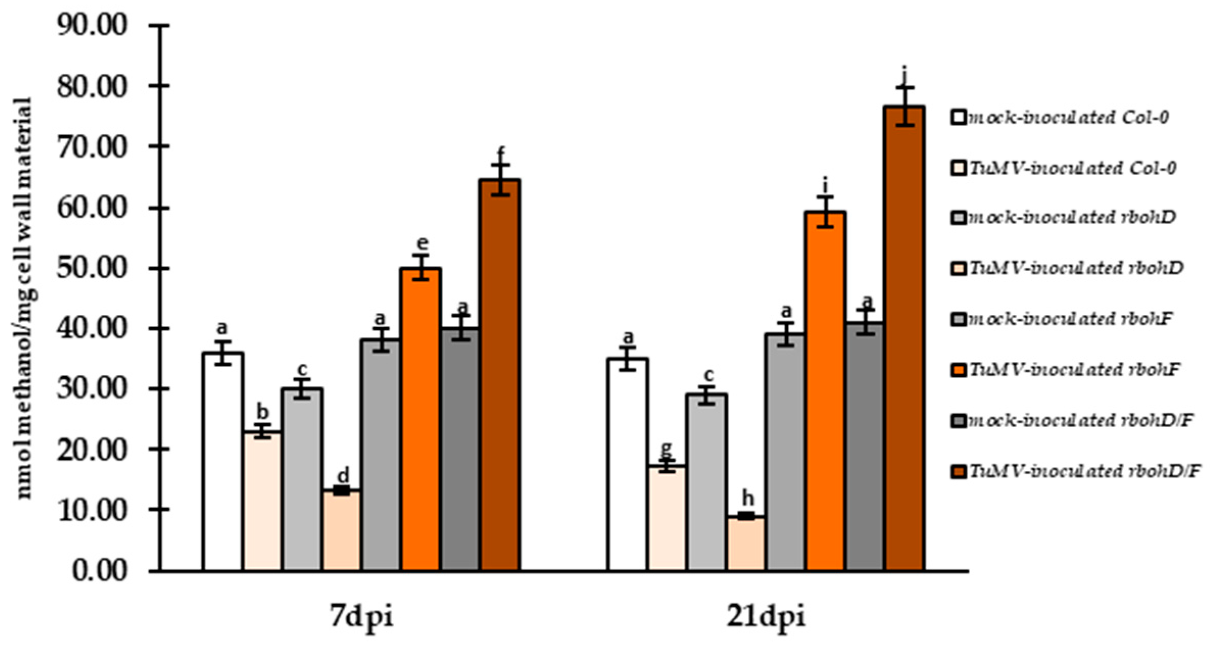 Ijms 25 05256 g008 Ijms 25 05256 g008
