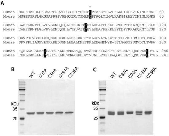 Ijms 25 05279 g001