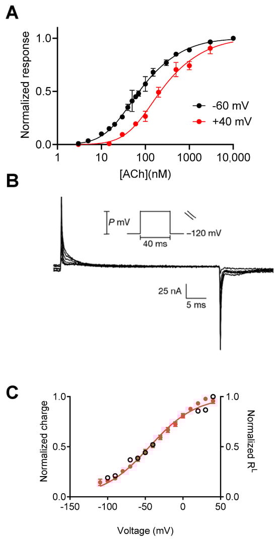 Ijms 25 05295 g001 Ijms 25 05295 g001