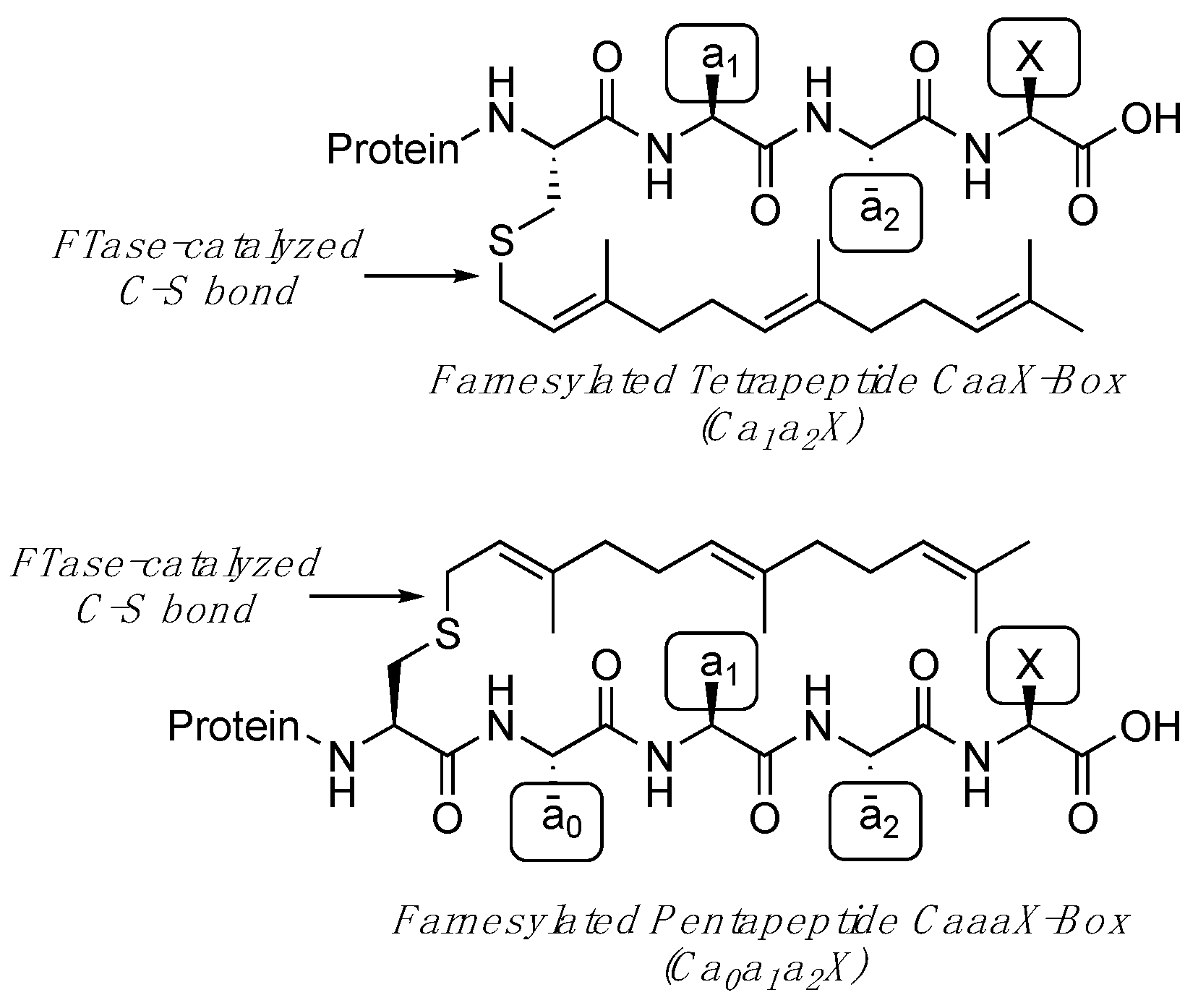 Ijms 25 05324 g001 Ijms 25 05324 g001