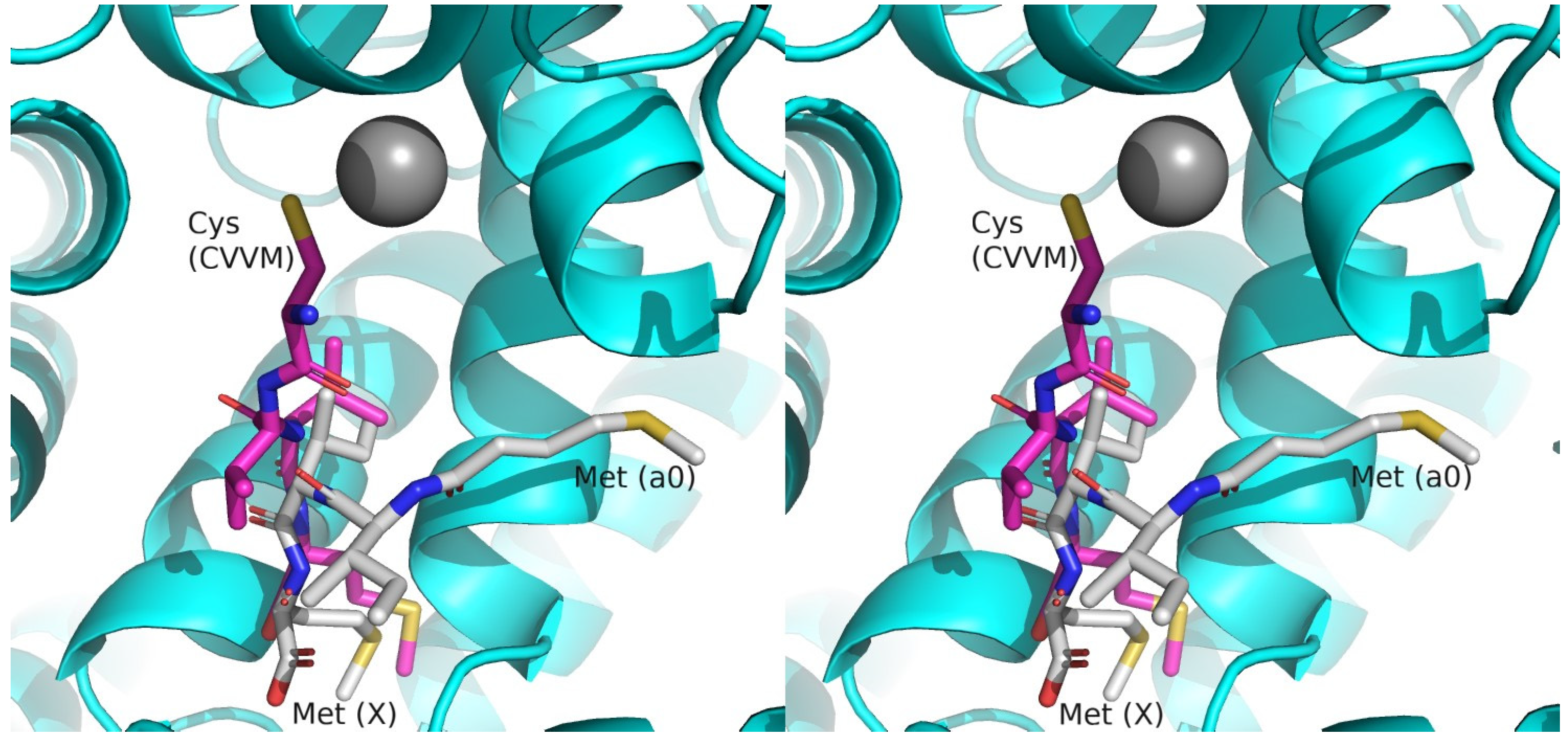 Ijms 25 05324 g004 Ijms 25 05324 g004