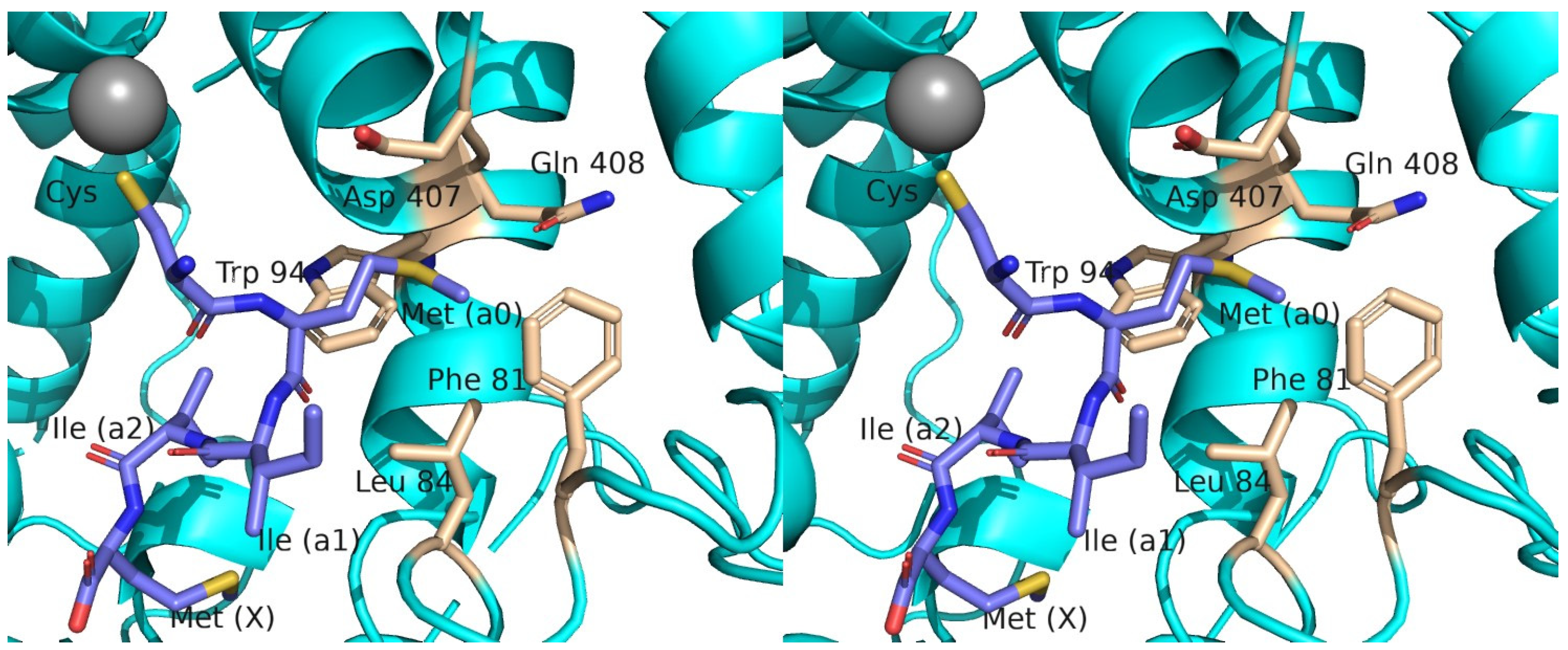 Ijms 25 05324 g005 Ijms 25 05324 g005