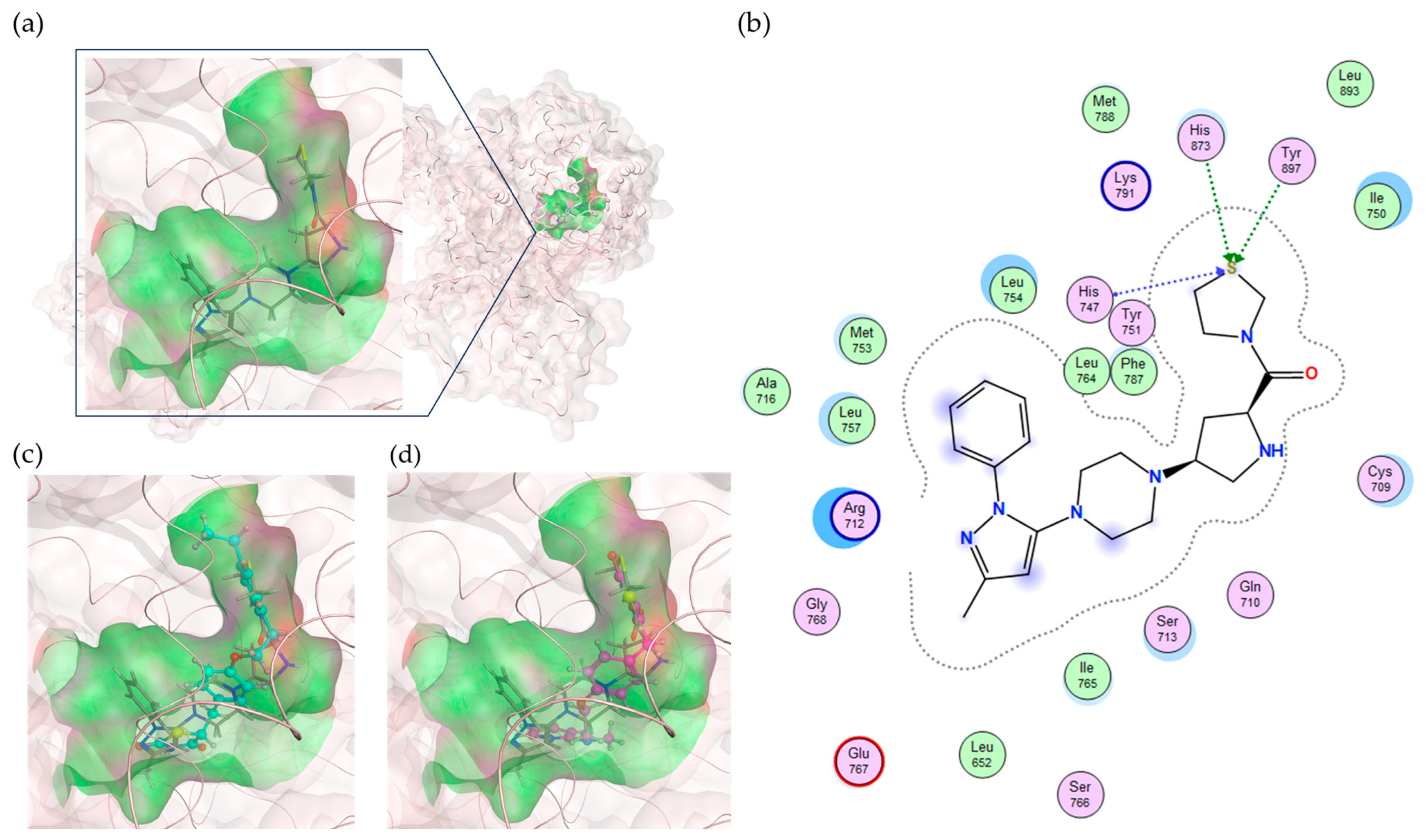 Ijms 25 05347 g004 Ijms 25 05347 g004