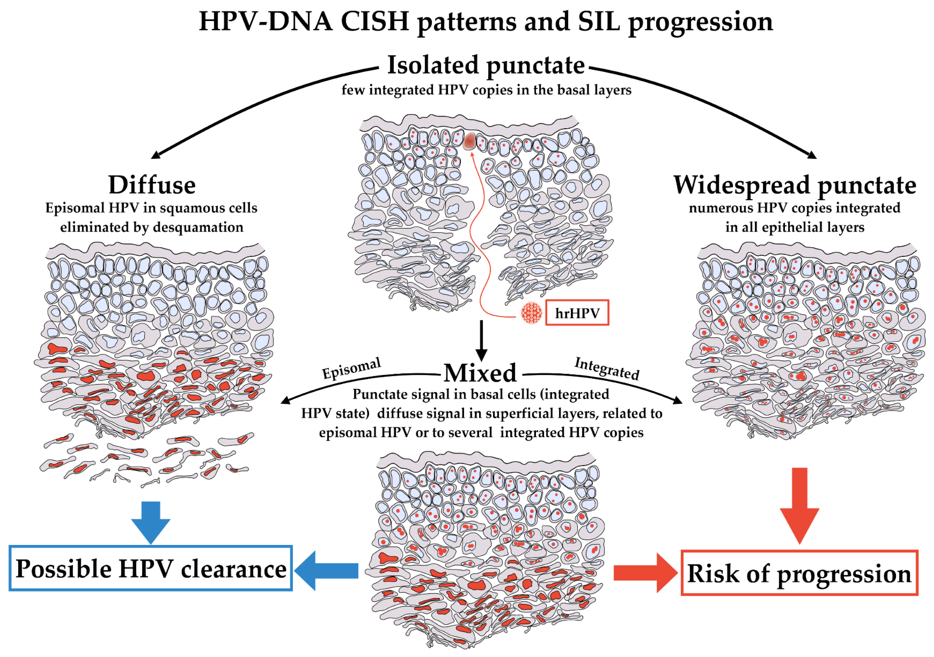 Ijms 25 05354 g006 Ijms 25 05354 g006