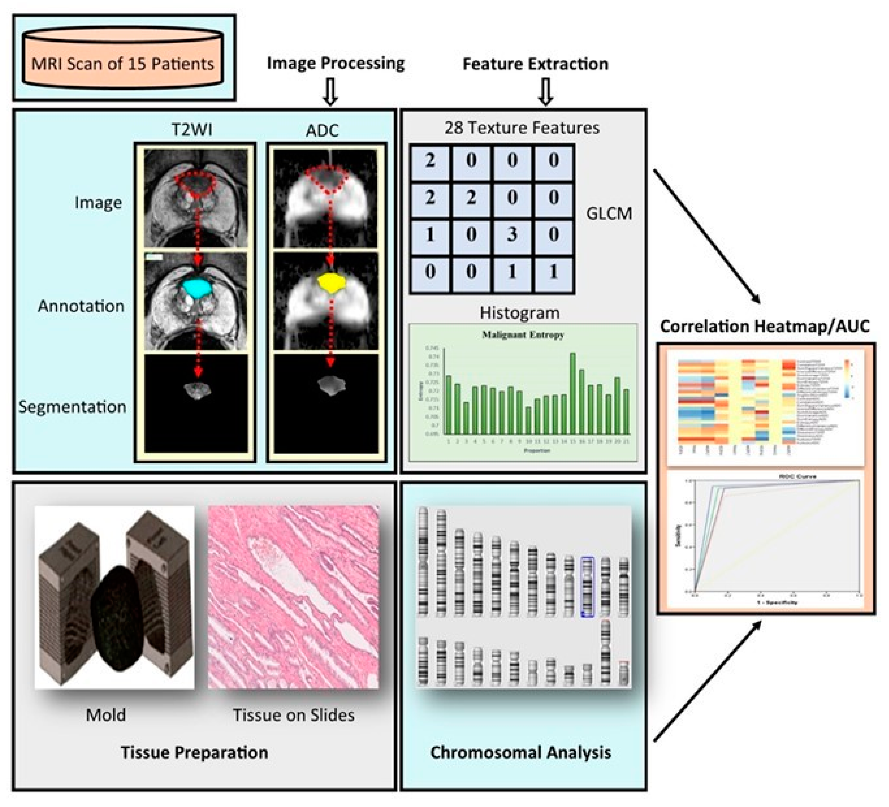 Ijms 25 05379 g002 Ijms 25 05379 g002