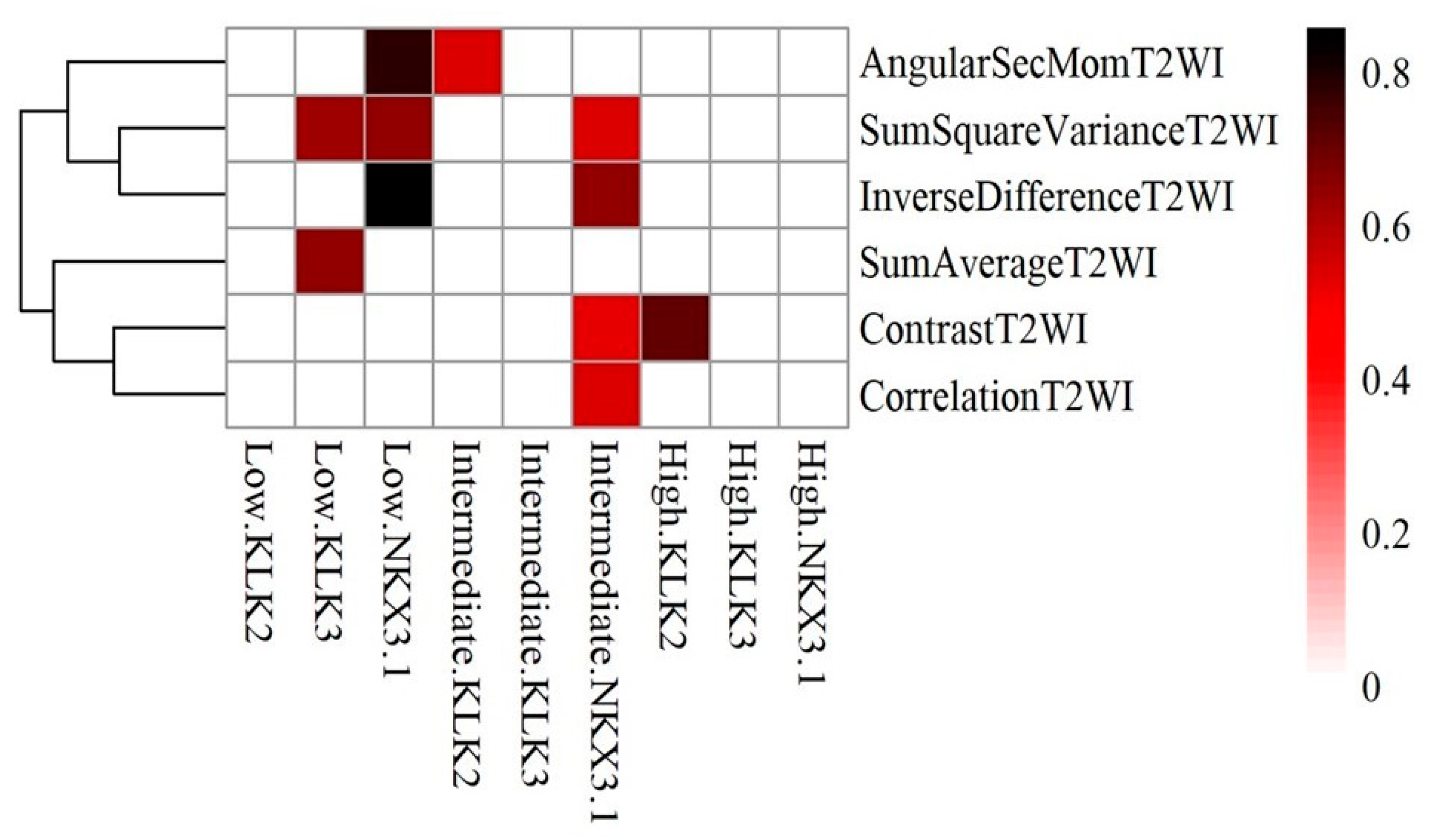 Ijms 25 05379 g004 Ijms 25 05379 g004