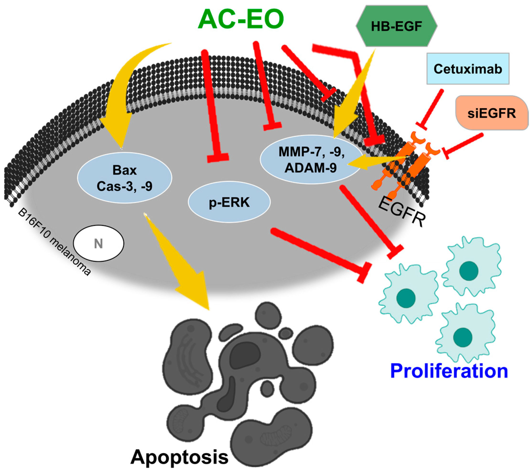 Ijms 25 05397 g002 Ijms 25 05397 g002