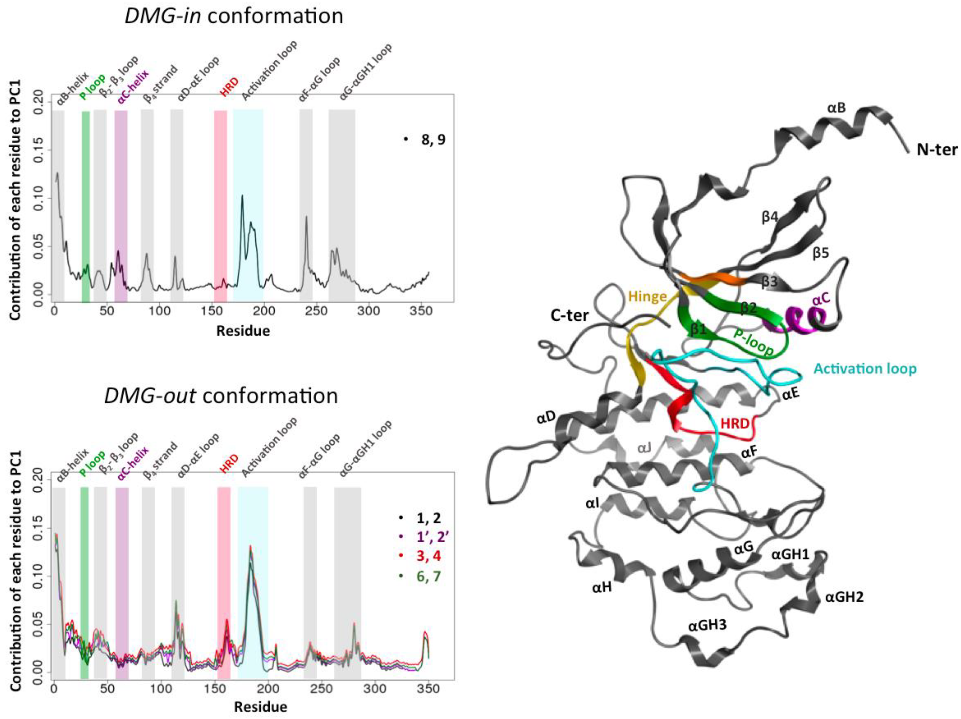 Ijms 25 05411 g003 Ijms 25 05411 g003